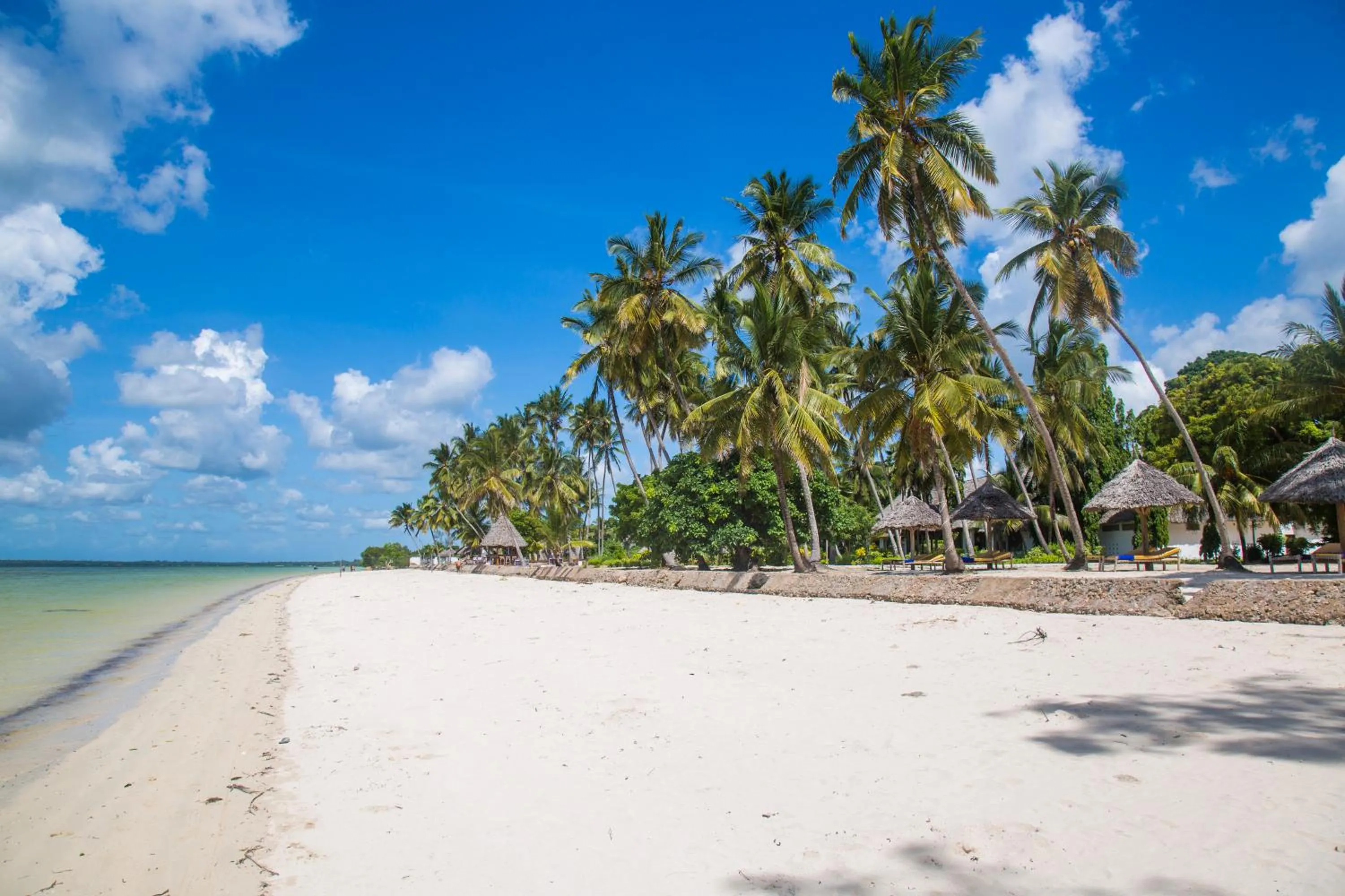 Natural landscape in Antonio Beach Tree House Hotel & Spa