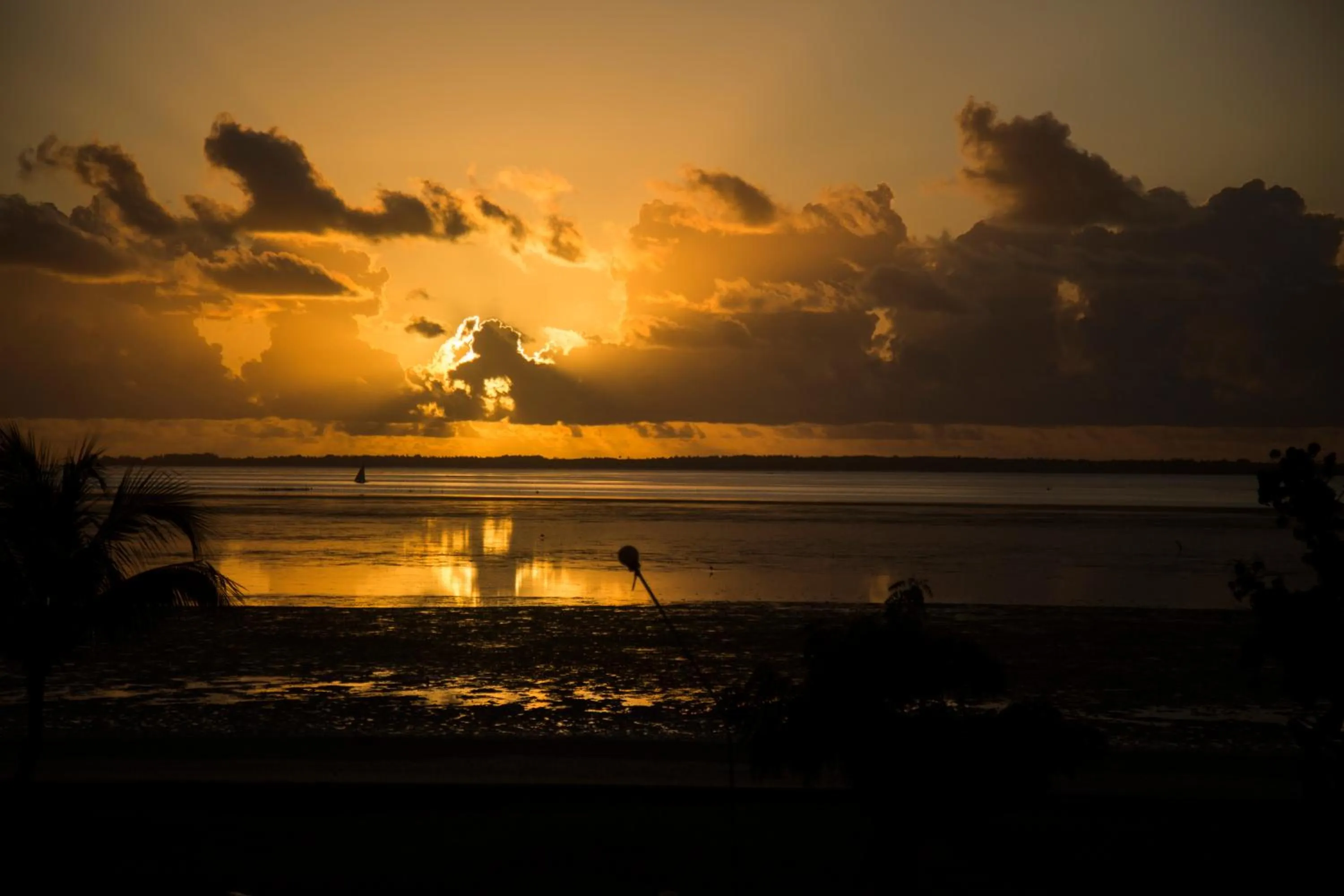 Sea view in Antonio Beach Tree House Hotel & Spa