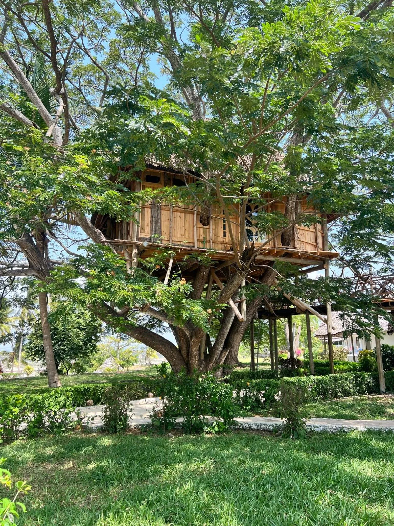 VIP in Antonio Beach Tree House Hotel & Spa