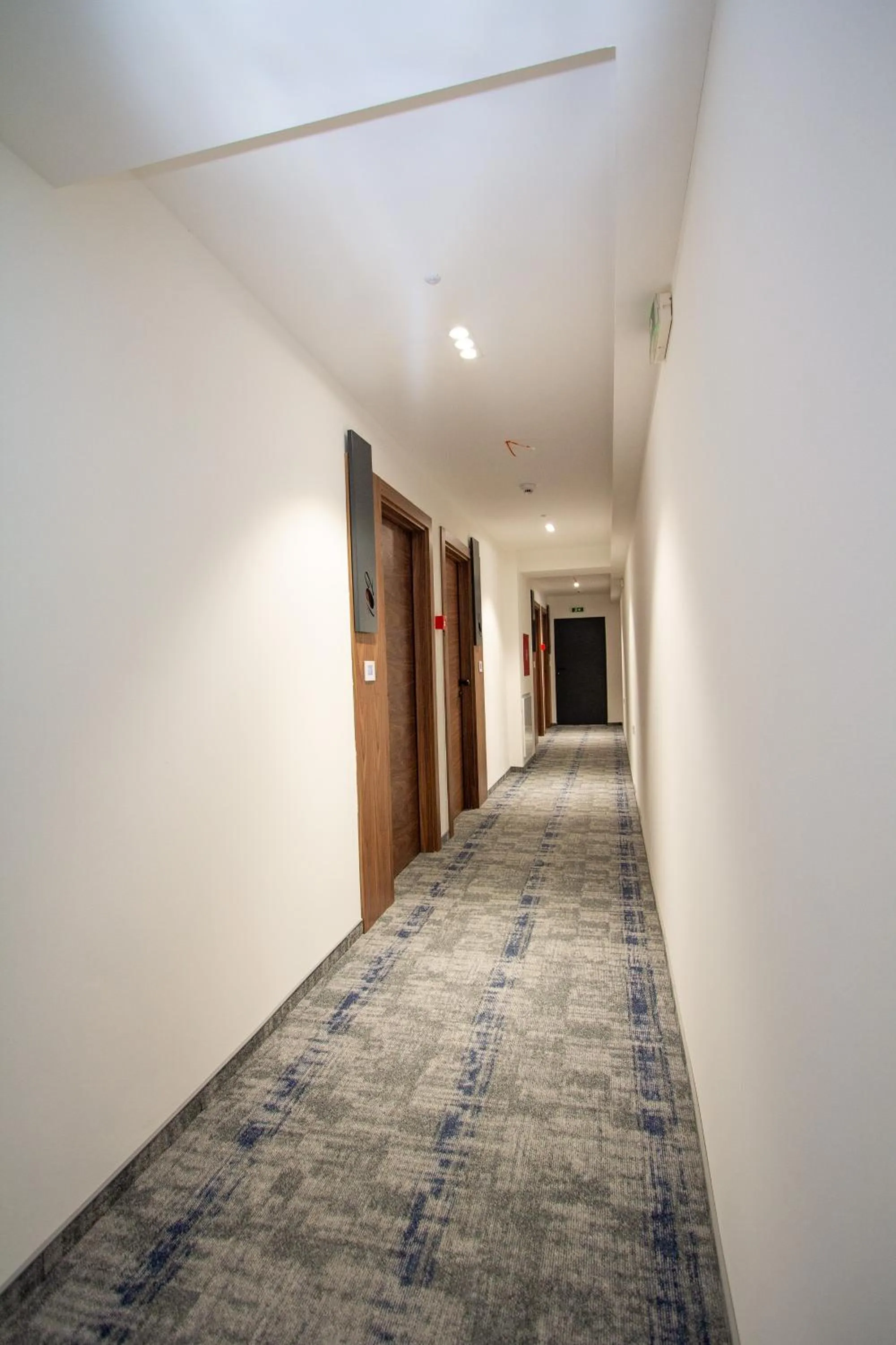 Photo of the whole room in Hotel Grand