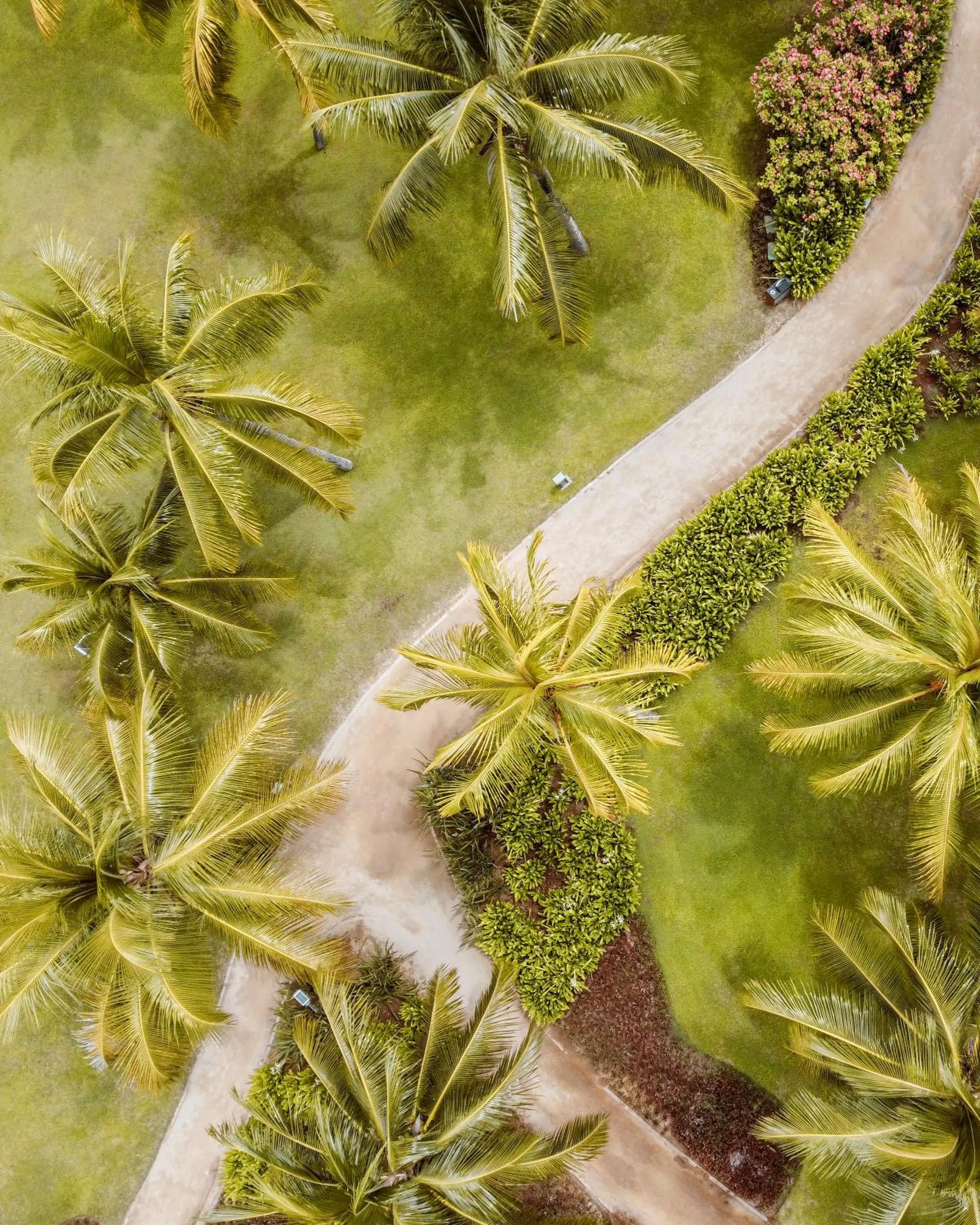 Natural landscape in Outrigger Mauritius Beach Resort
