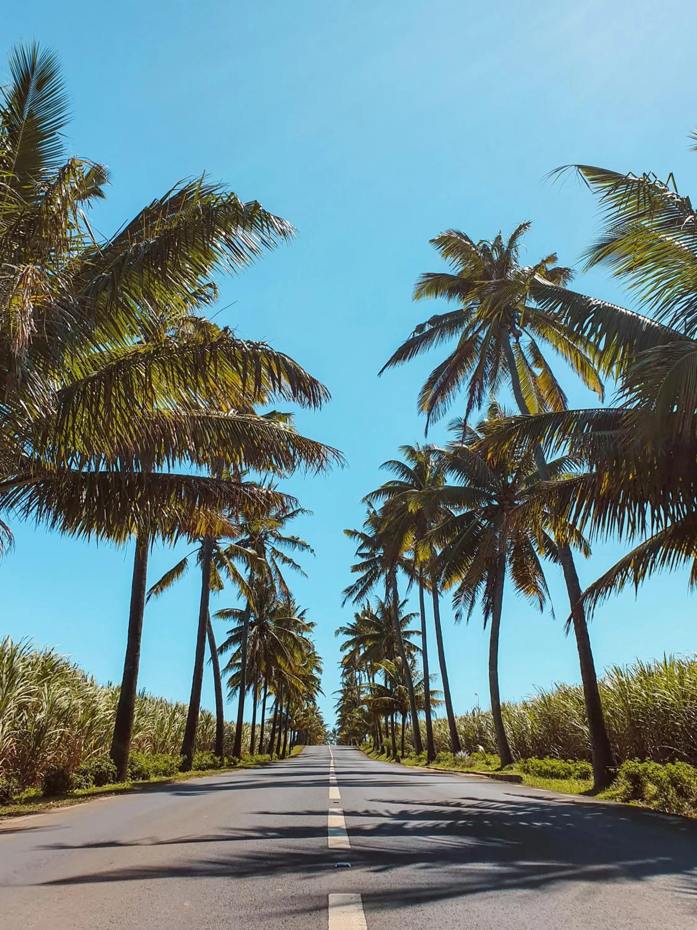 Natural landscape in Outrigger Mauritius Beach Resort