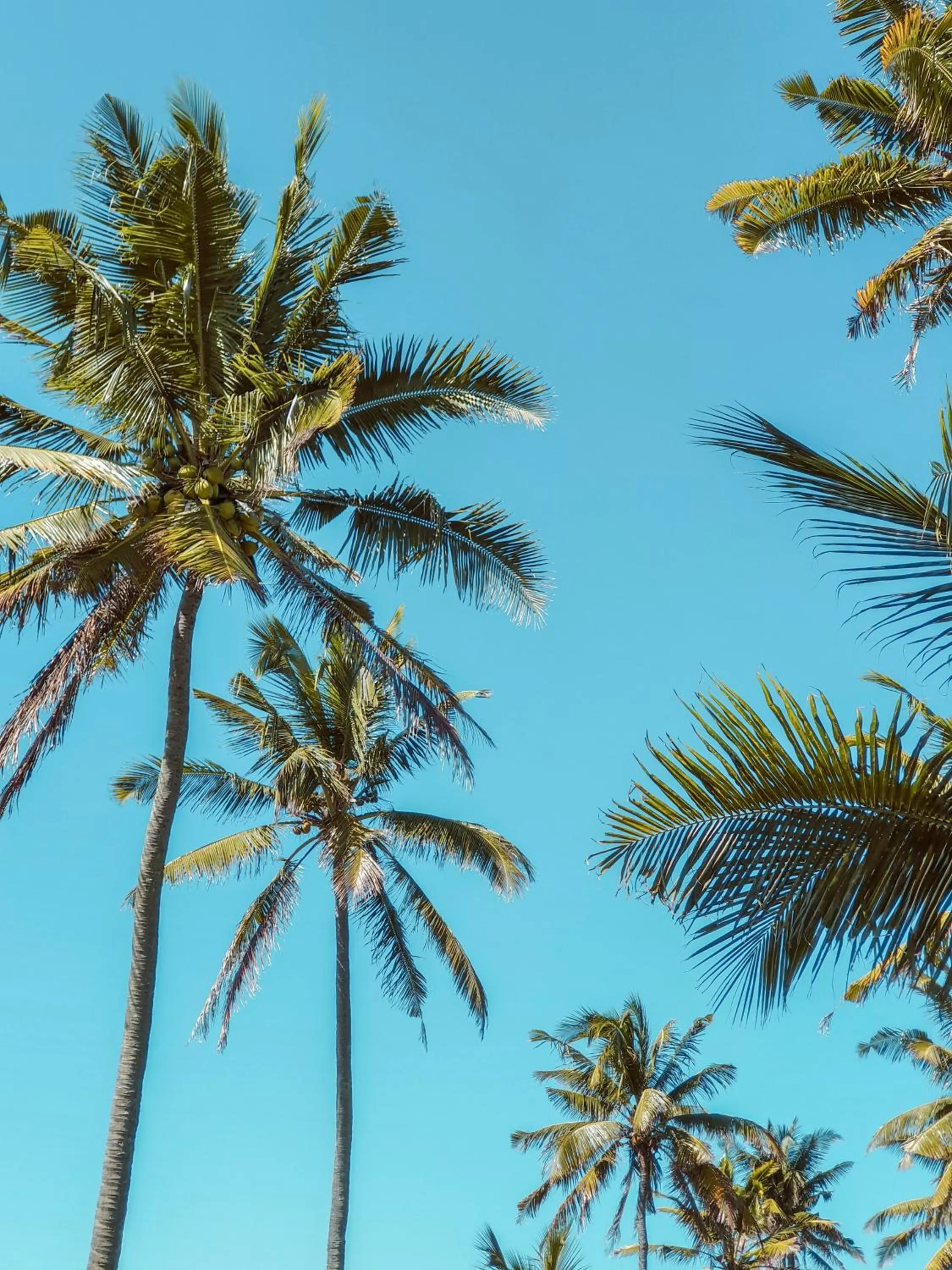 Natural landscape in Outrigger Mauritius Beach Resort