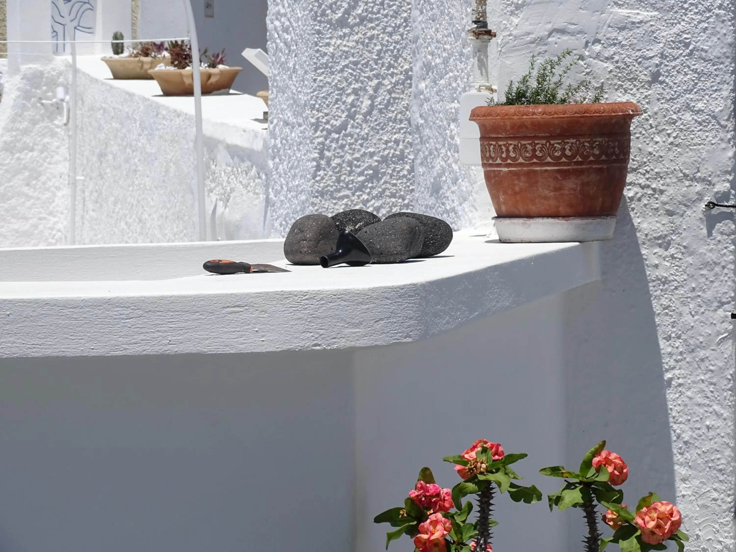 Decorative detail in NEOKLASSIKO KOUKOULI