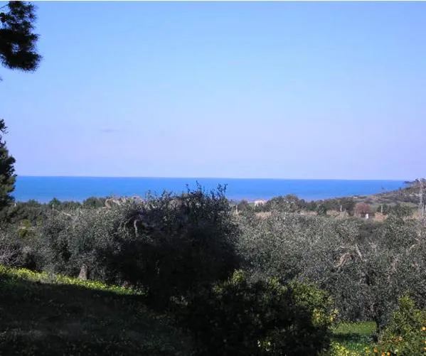 Area and facilities in Casa Masseria Le Ville