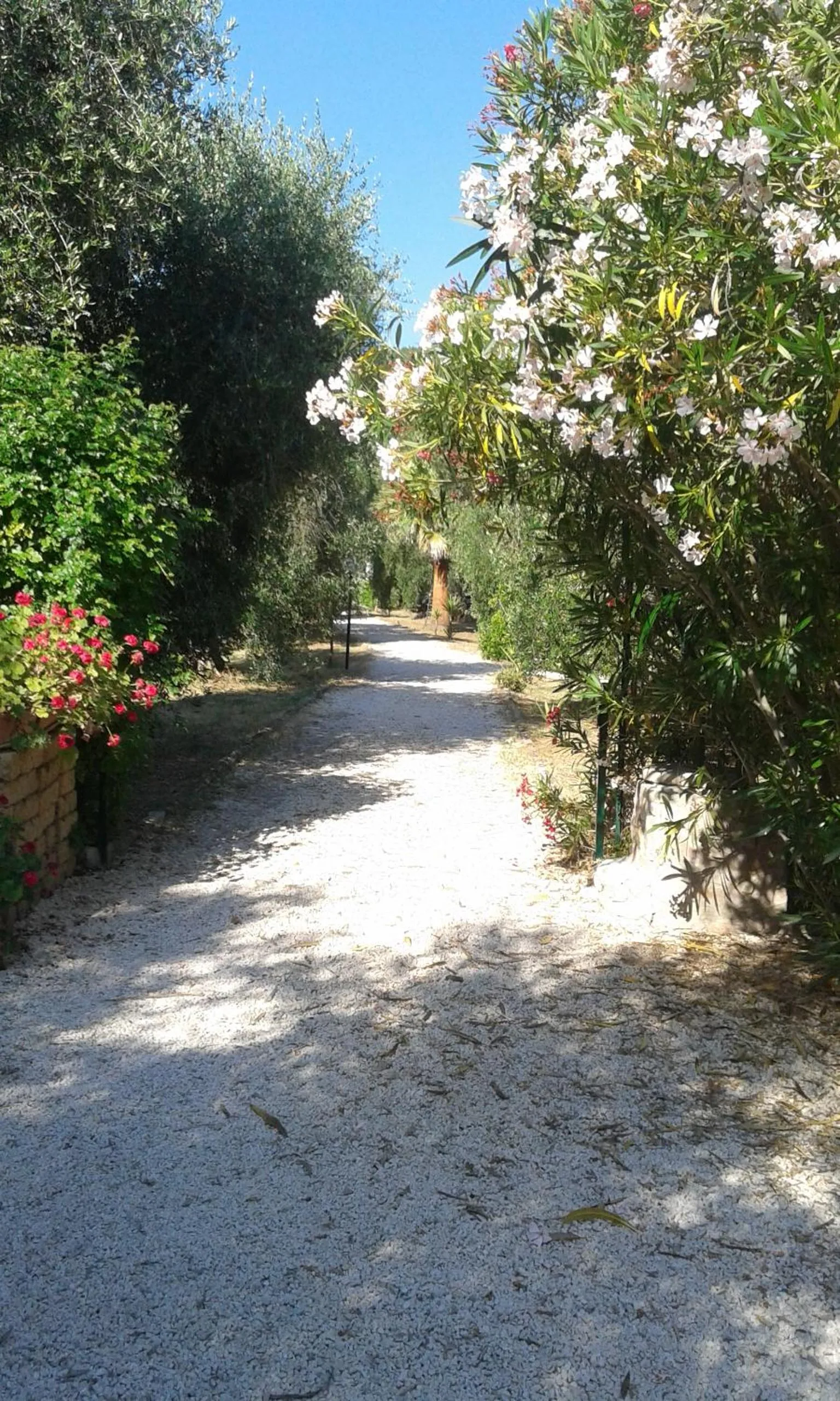 Spring in Casa Masseria Le Ville