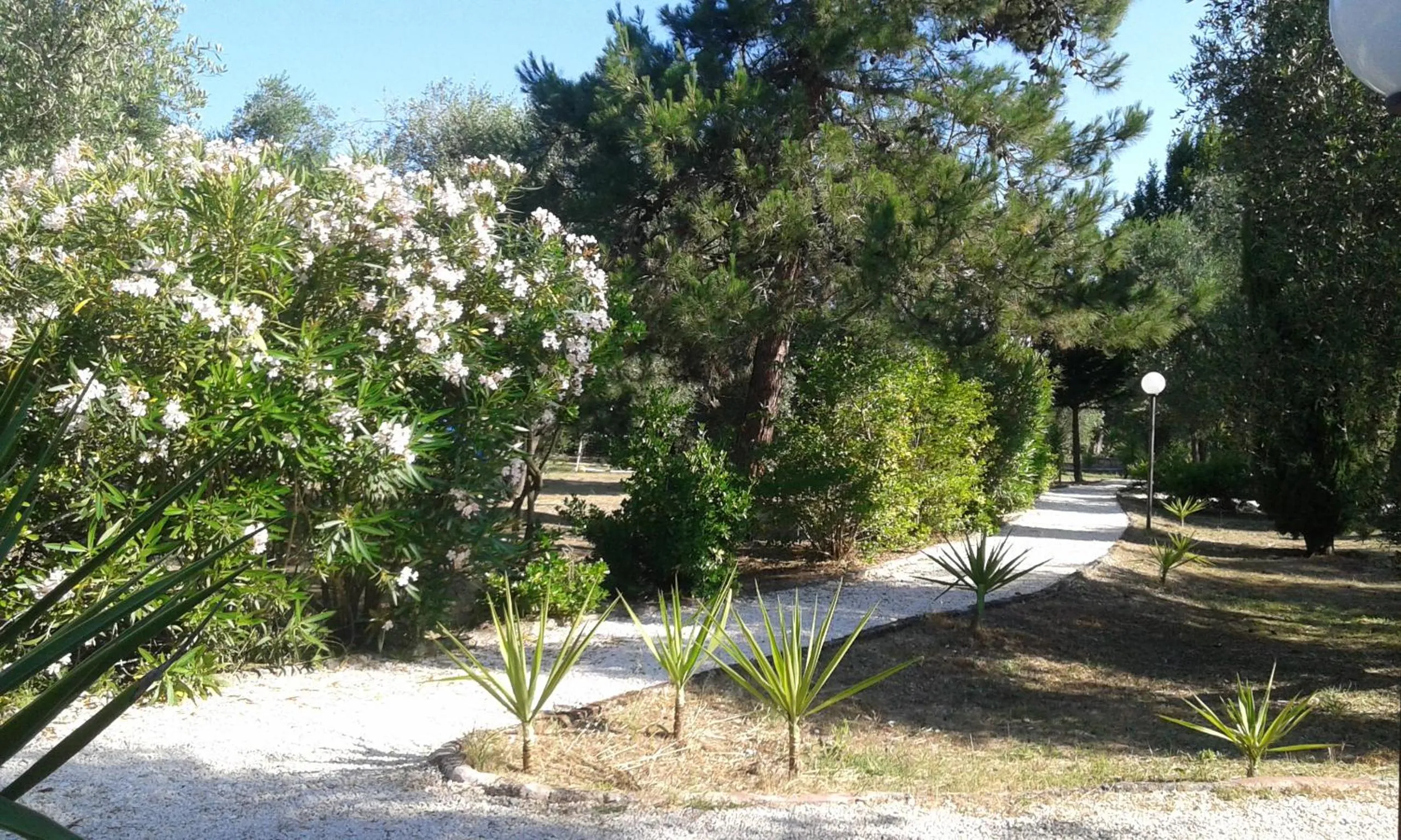 Garden in Casa Masseria Le Ville