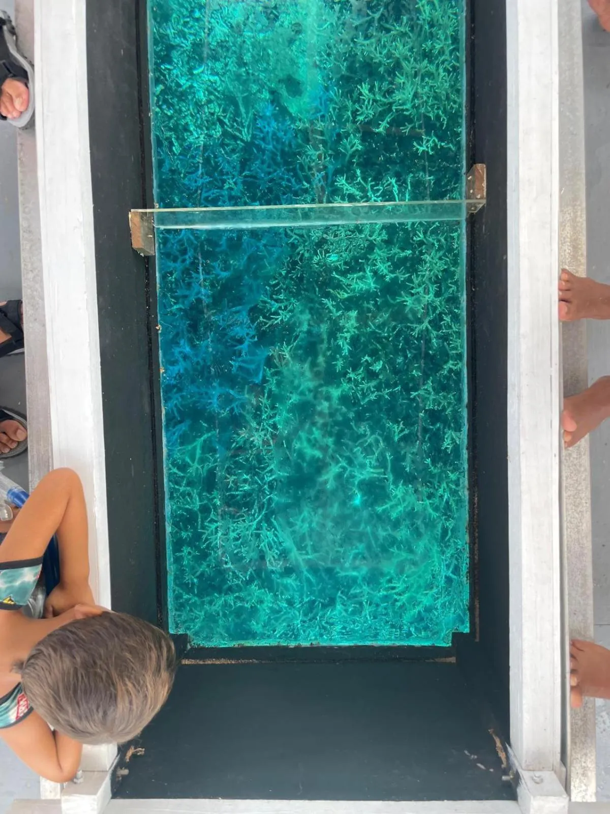 Anajawan Island Beachfront Resort