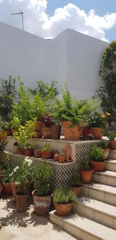 Casa Rural los Danzantes