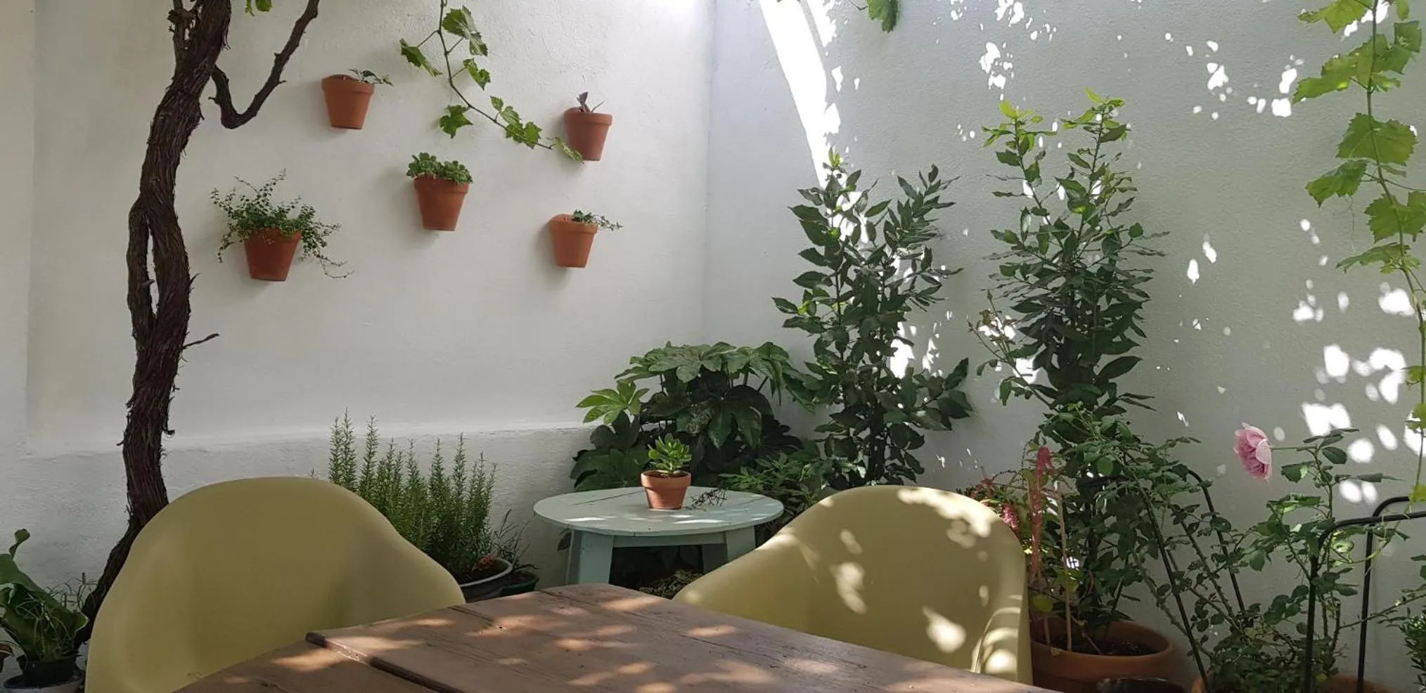 Casa Rural los Danzantes