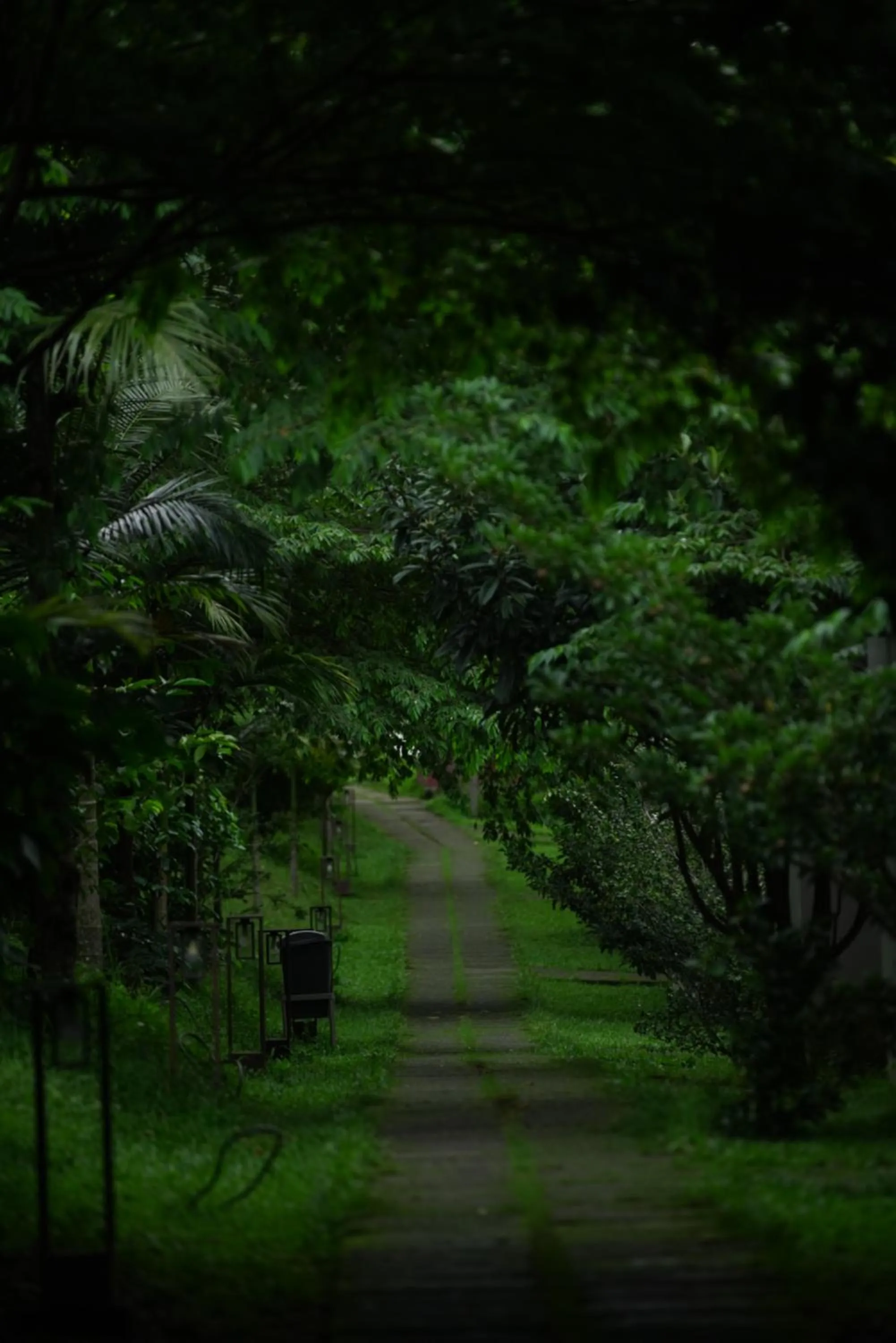 Garden in Coffee Greens Resort
