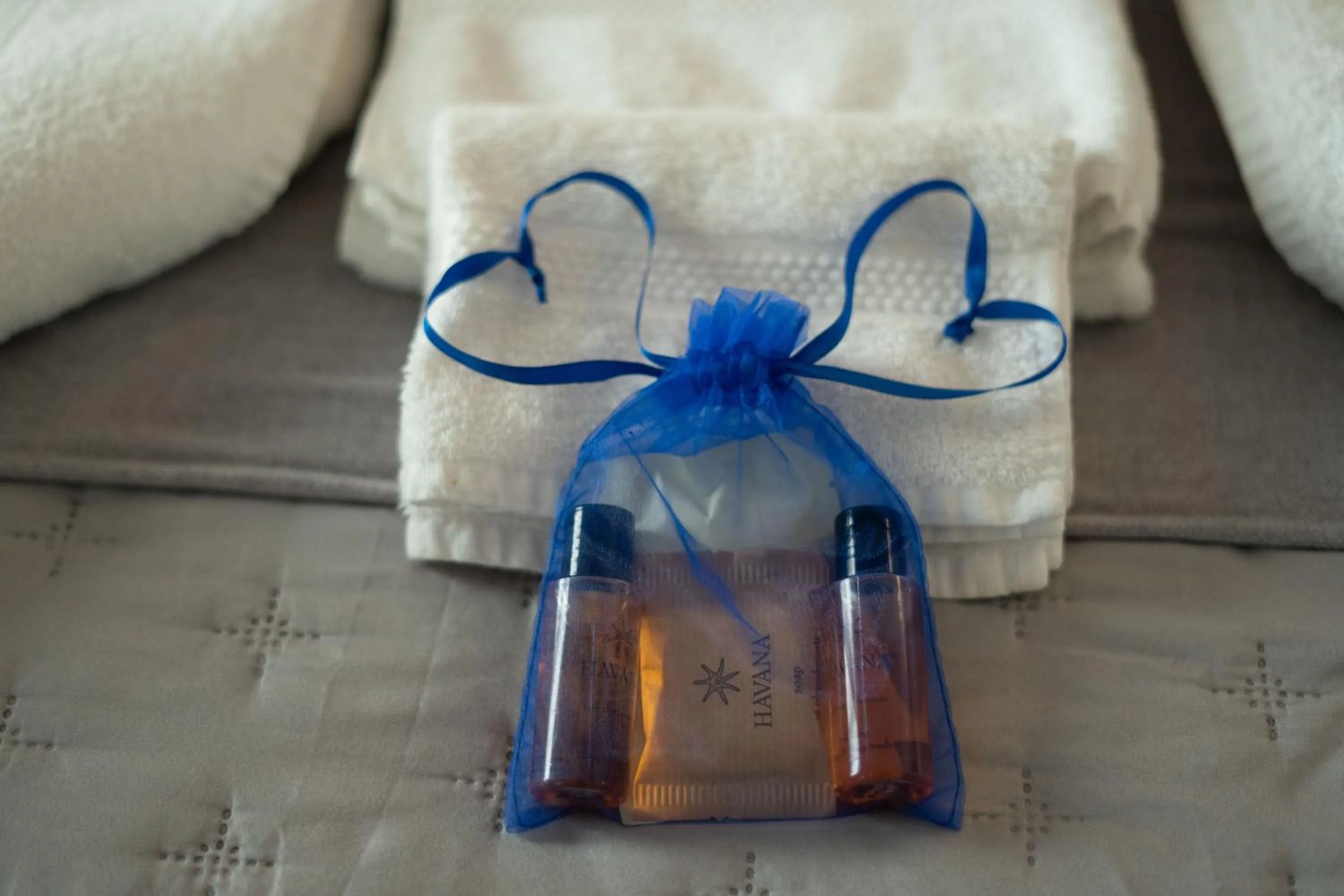 Decorative detail in Capital Rooms