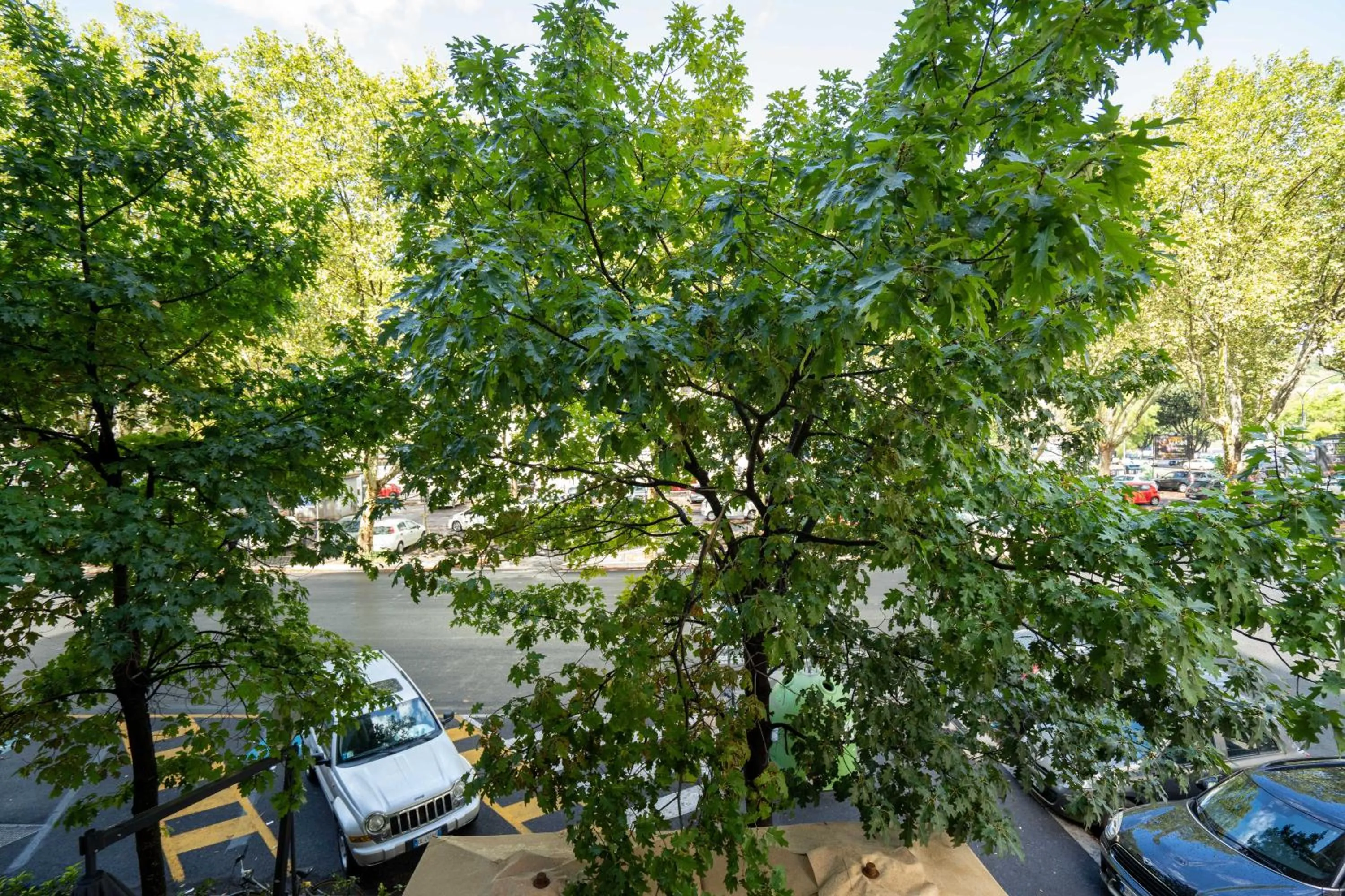 View (from property/room) in Capital Rooms