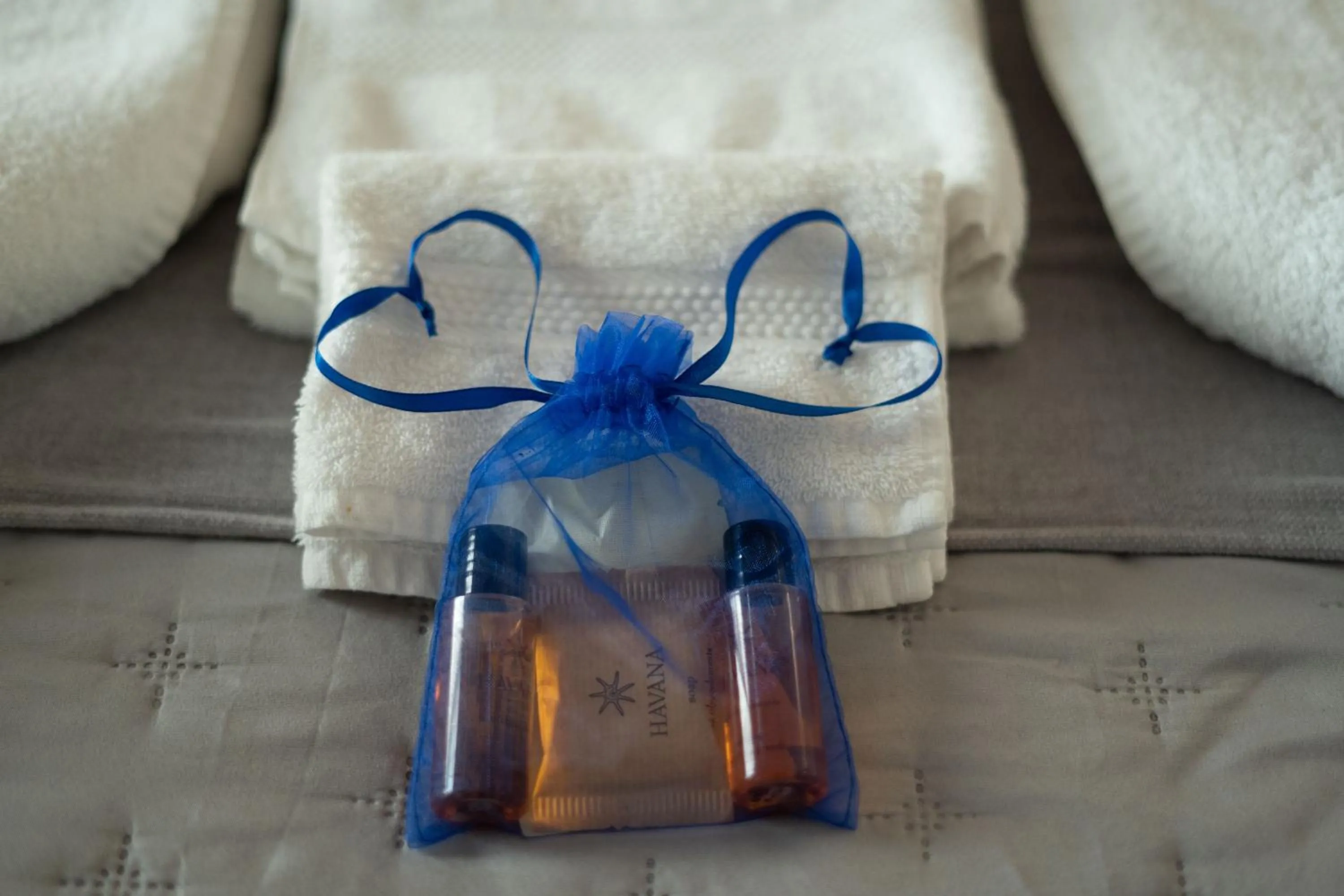 Decorative detail in Capital Rooms