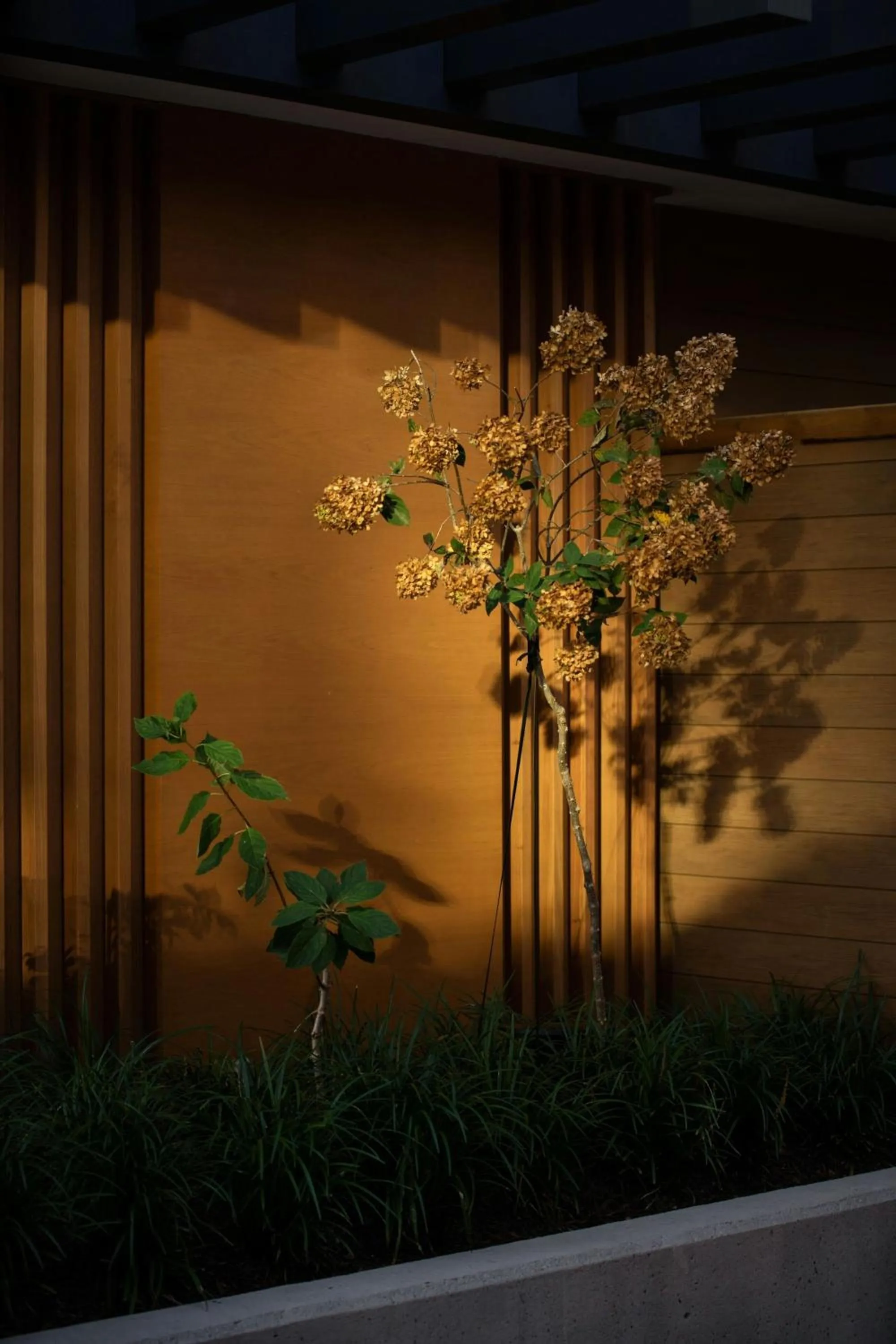 Swimming pool in Epicurean Atlanta, Autograph Collection