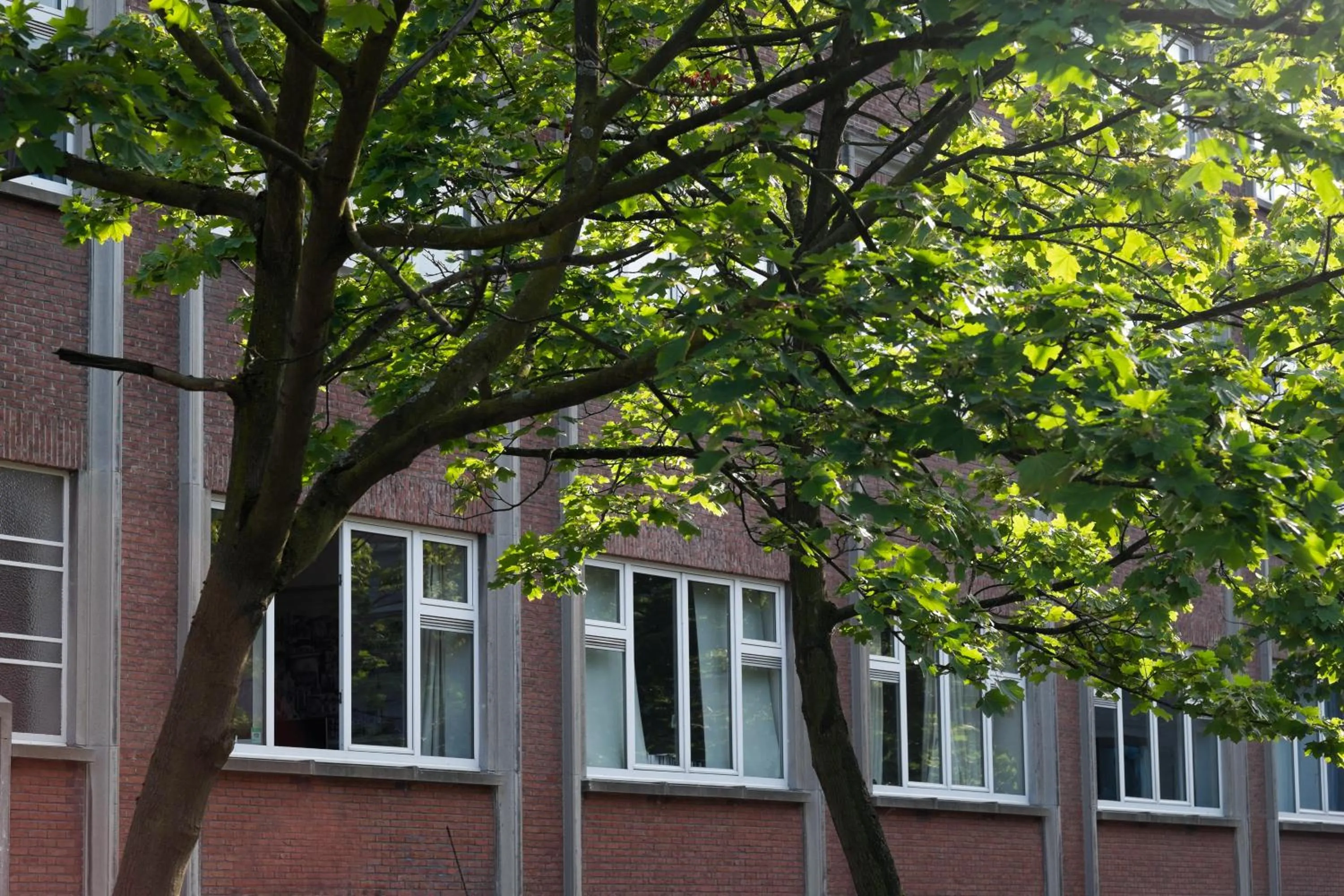 Facade/entrance in B&B Tempelhof
