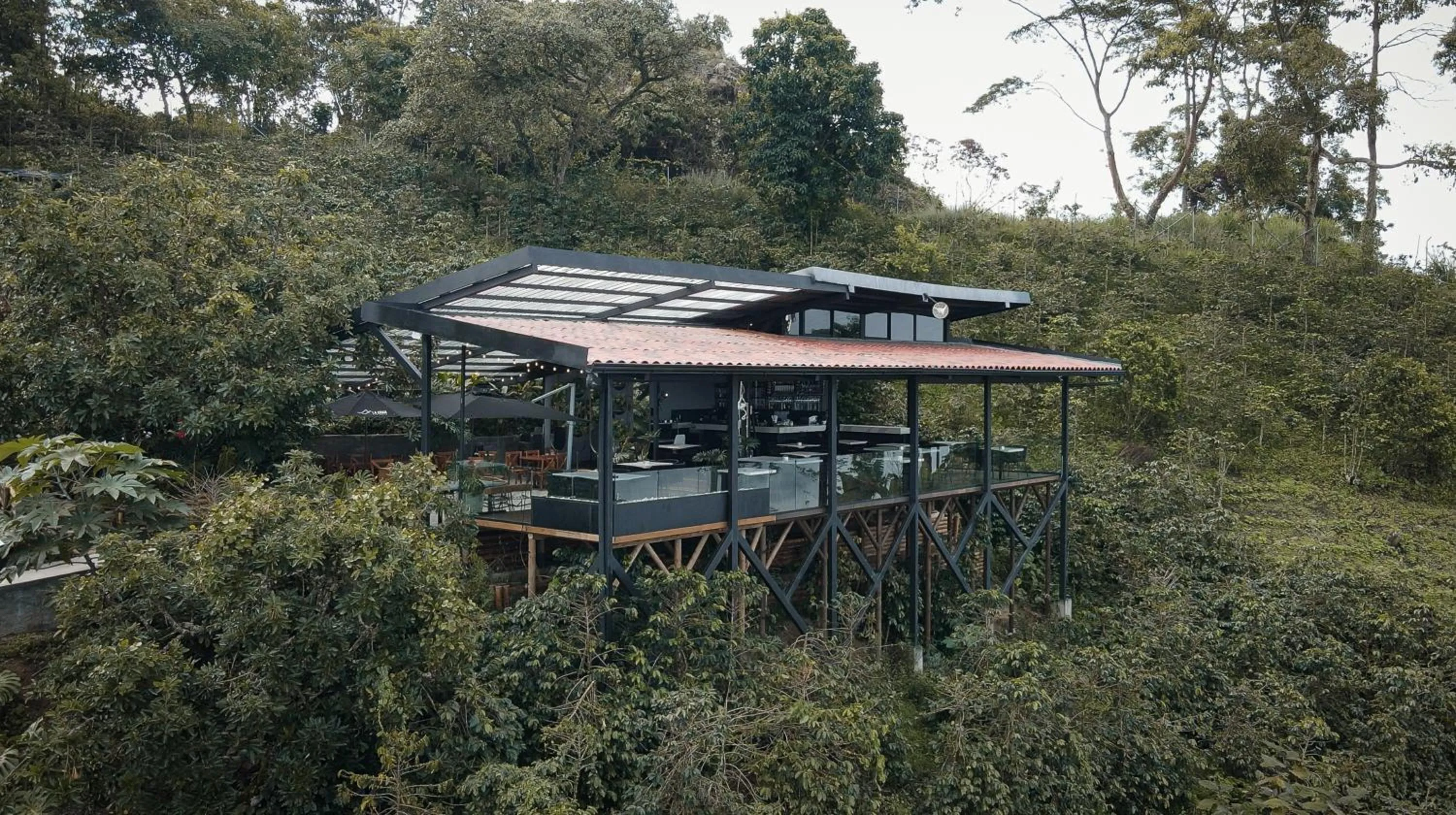 Restaurant/places to eat in La Cima Eco Hotel