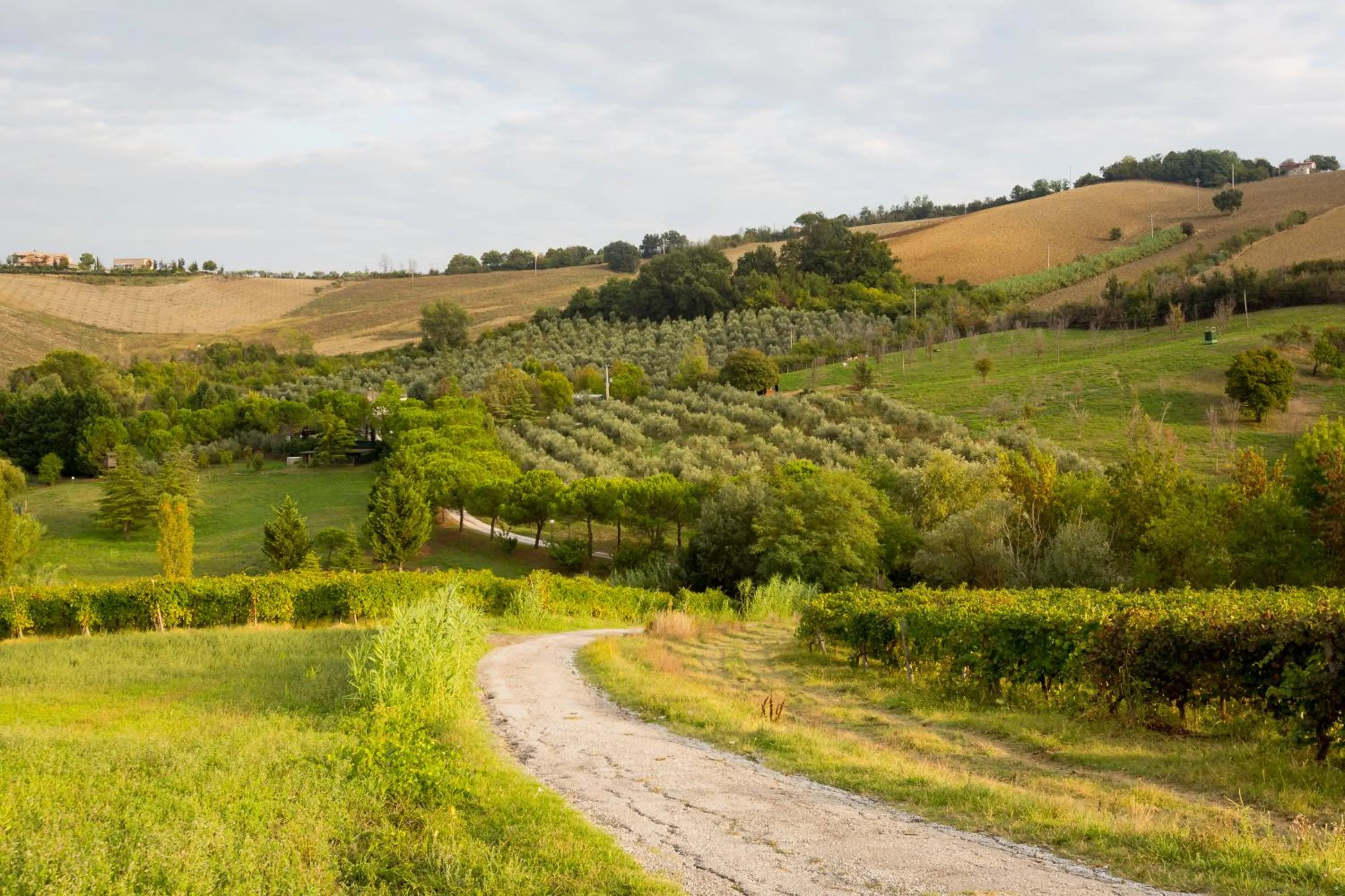 Natural landscape in Villa Ca' Viola Rimini