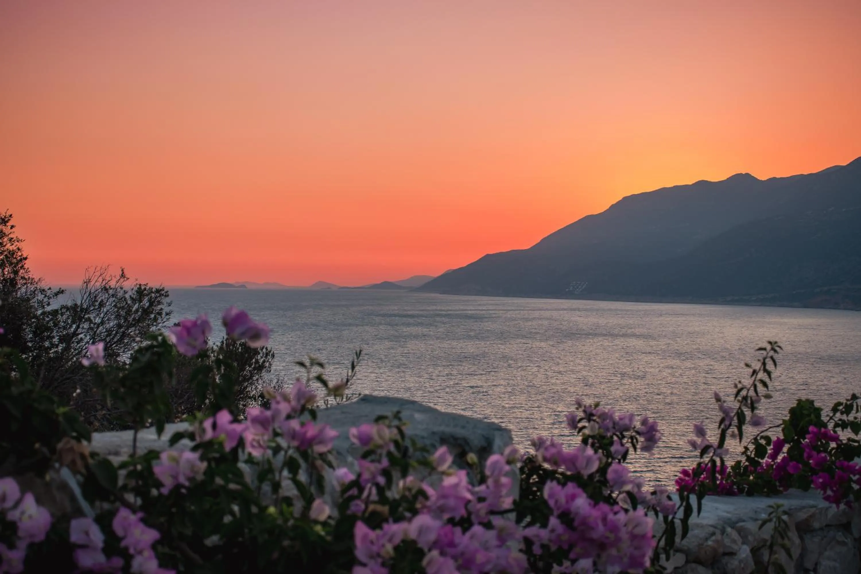 Restaurant/places to eat in Gümüş Yazar Hotel