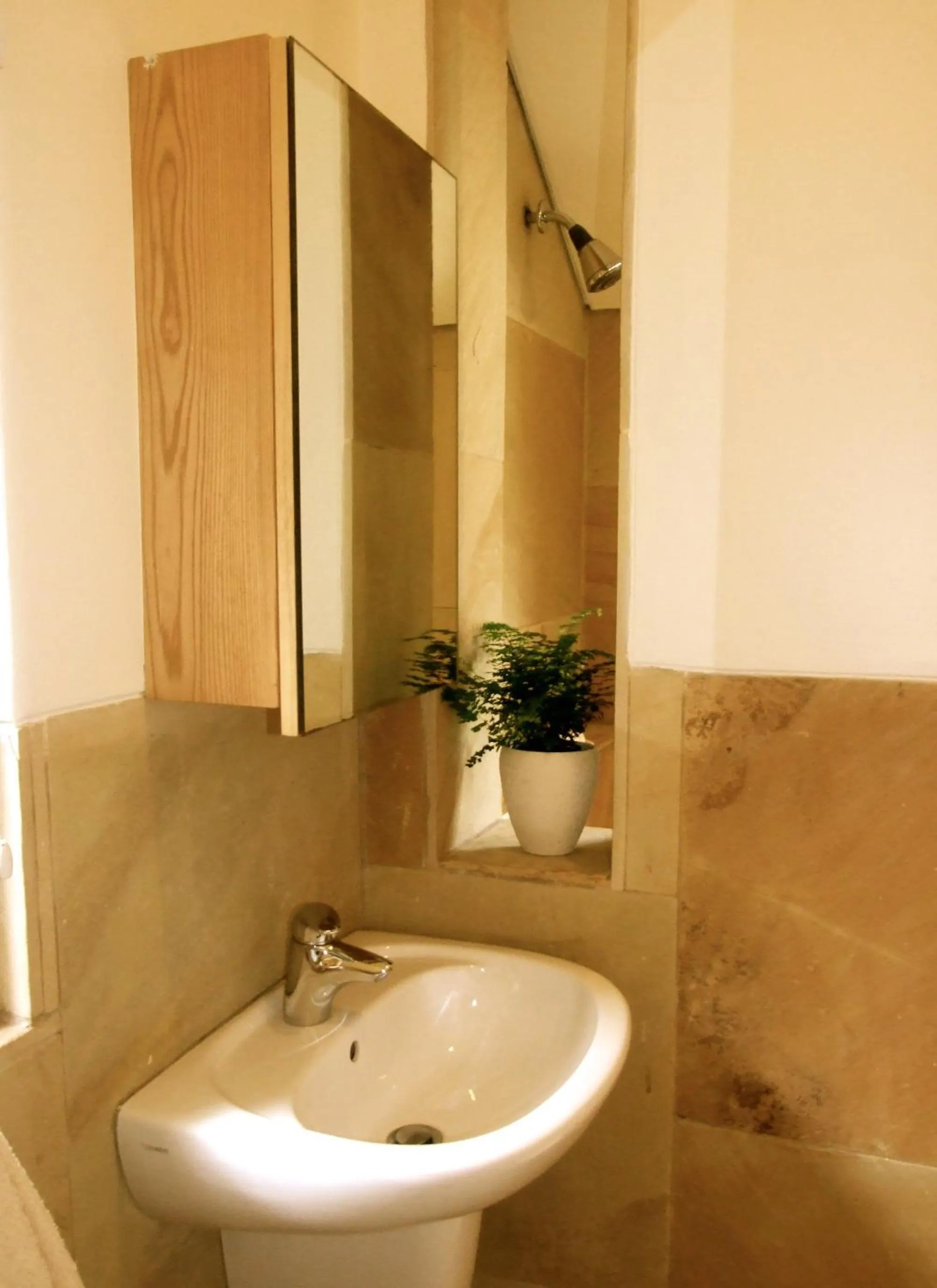 Bathroom in The Loft