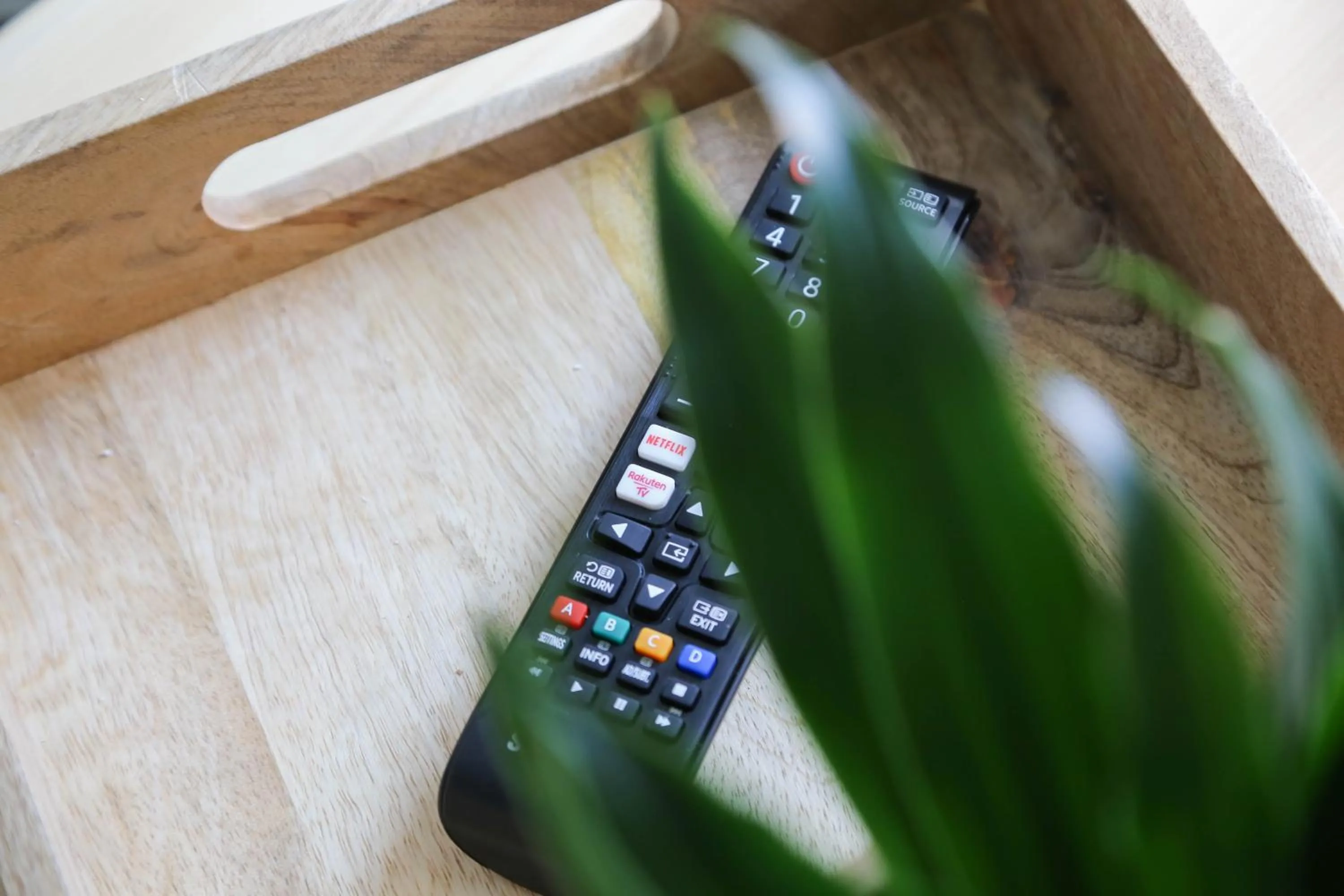 TV and multimedia in B&B Hartje Spakenburg