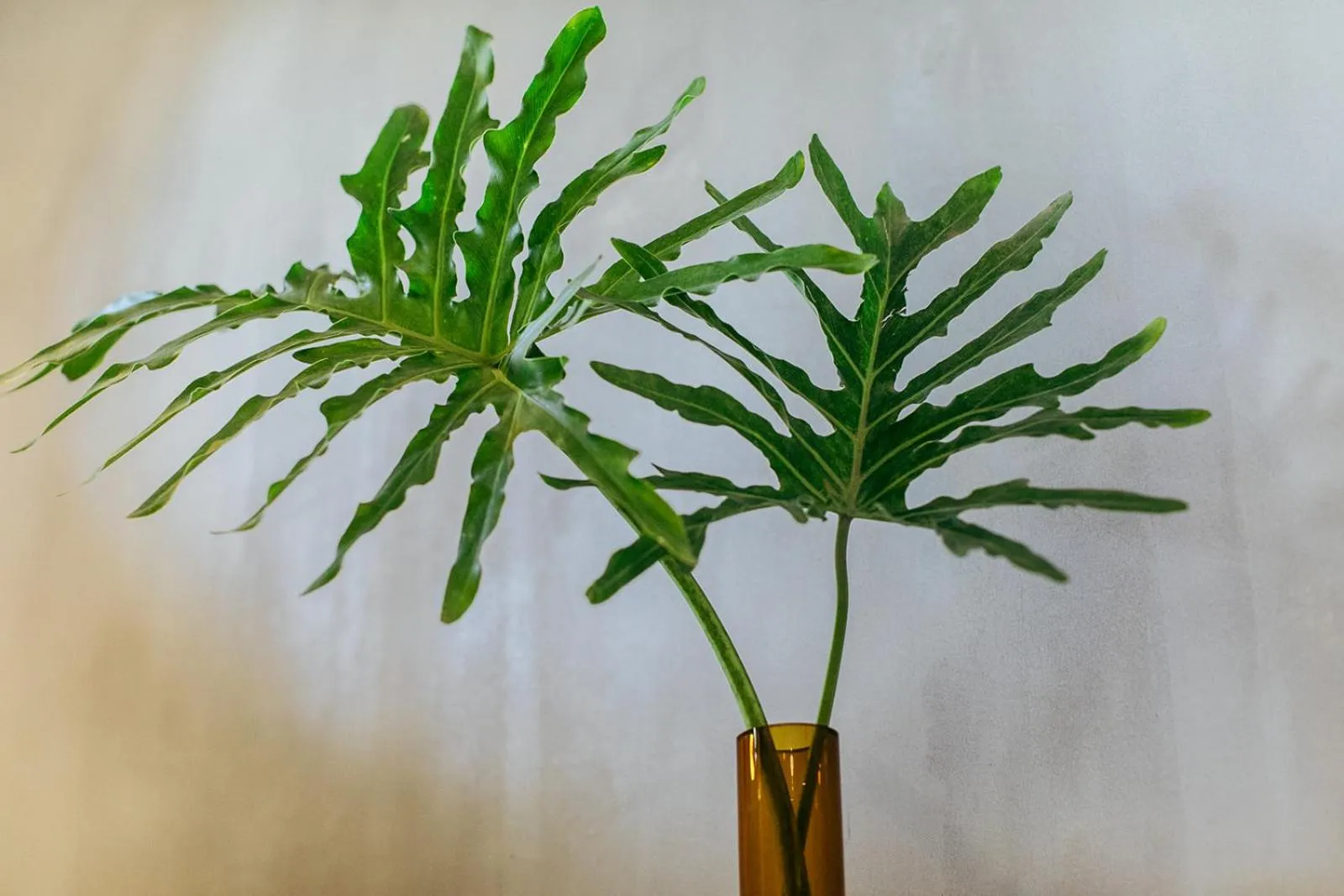 Decorative detail in Mother Earth Luxury Boutique Hotel, Restaurant & Spa