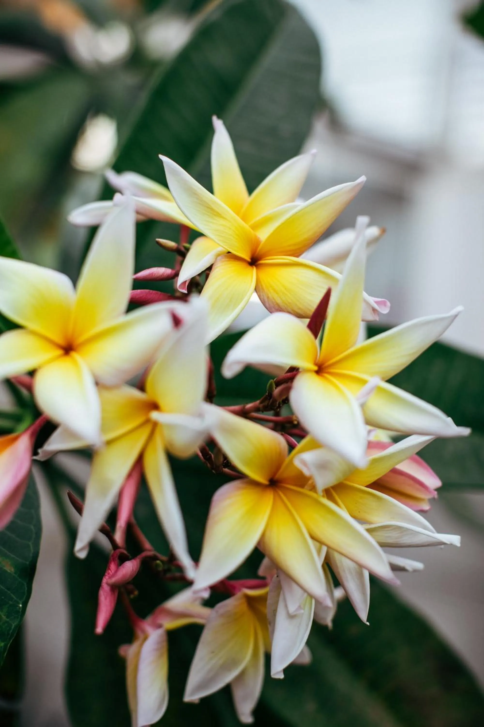 Property building in Mother Earth Luxury Boutique Hotel, Restaurant & Spa