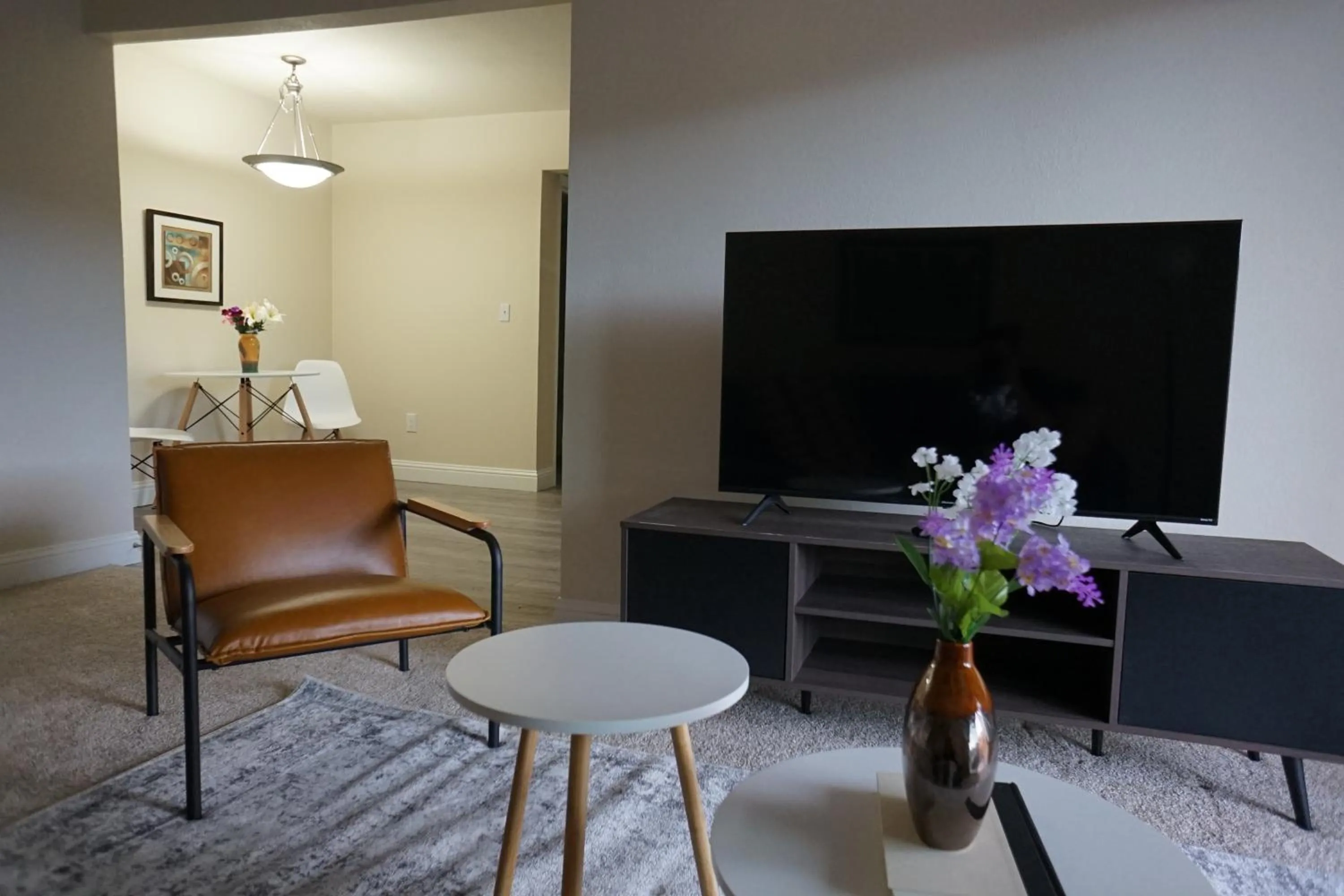 TV and multimedia in Sleepover 1BD 1BA Oklahoma City Apartments