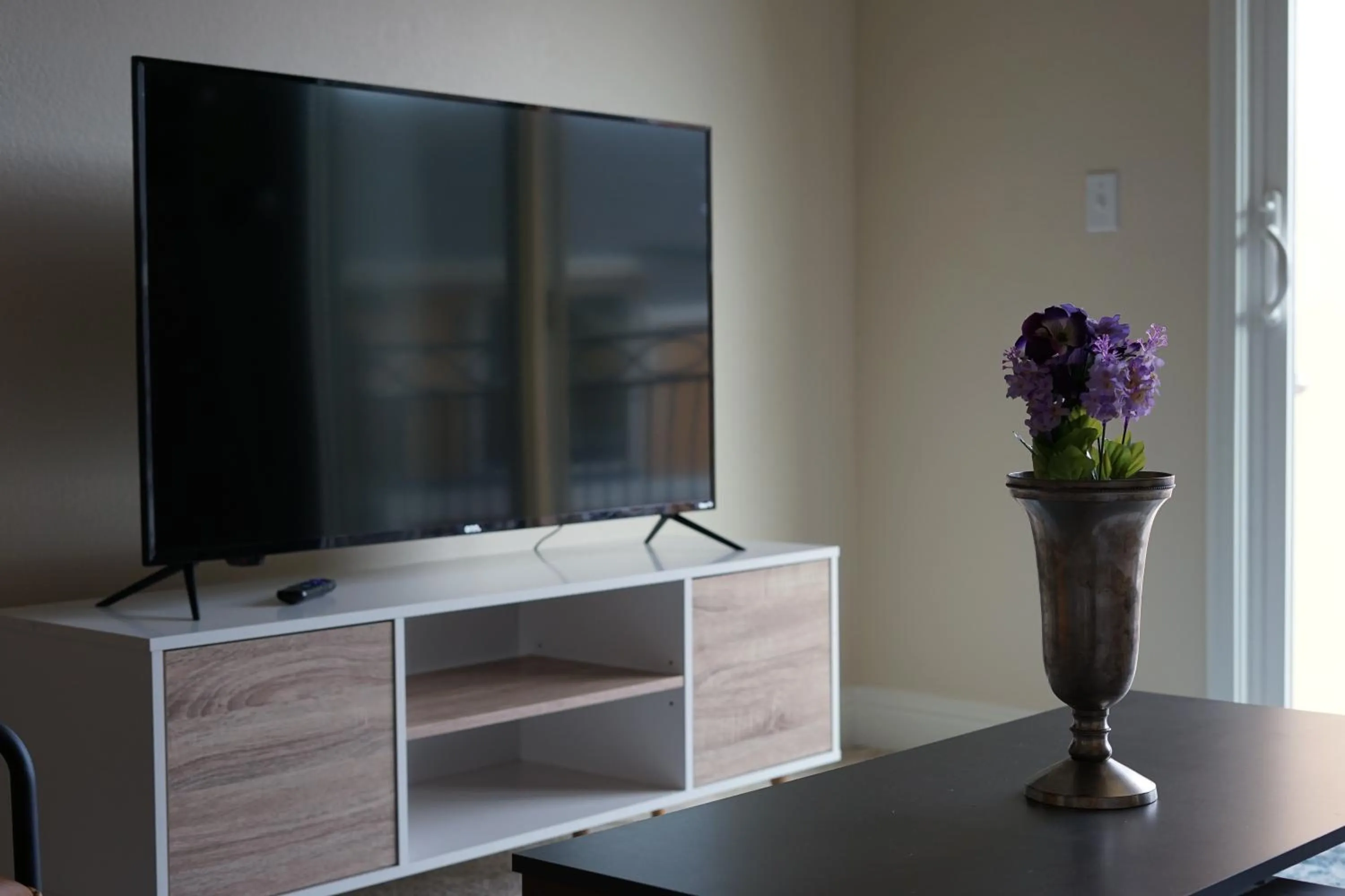 TV and multimedia in Sleepover 1BD 1BA Oklahoma City Apartments