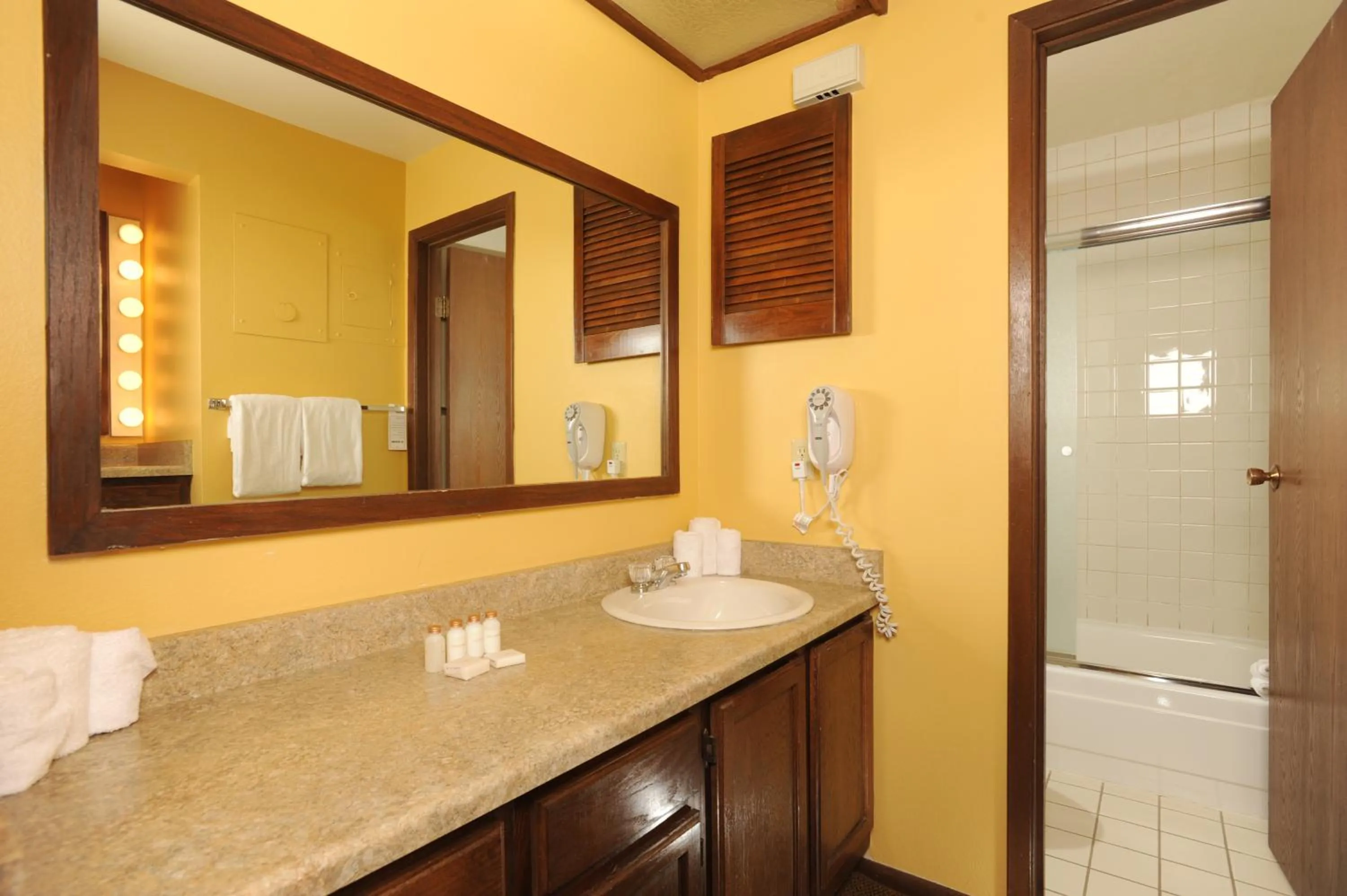 The Forest Neighborhood by Keystone Resort