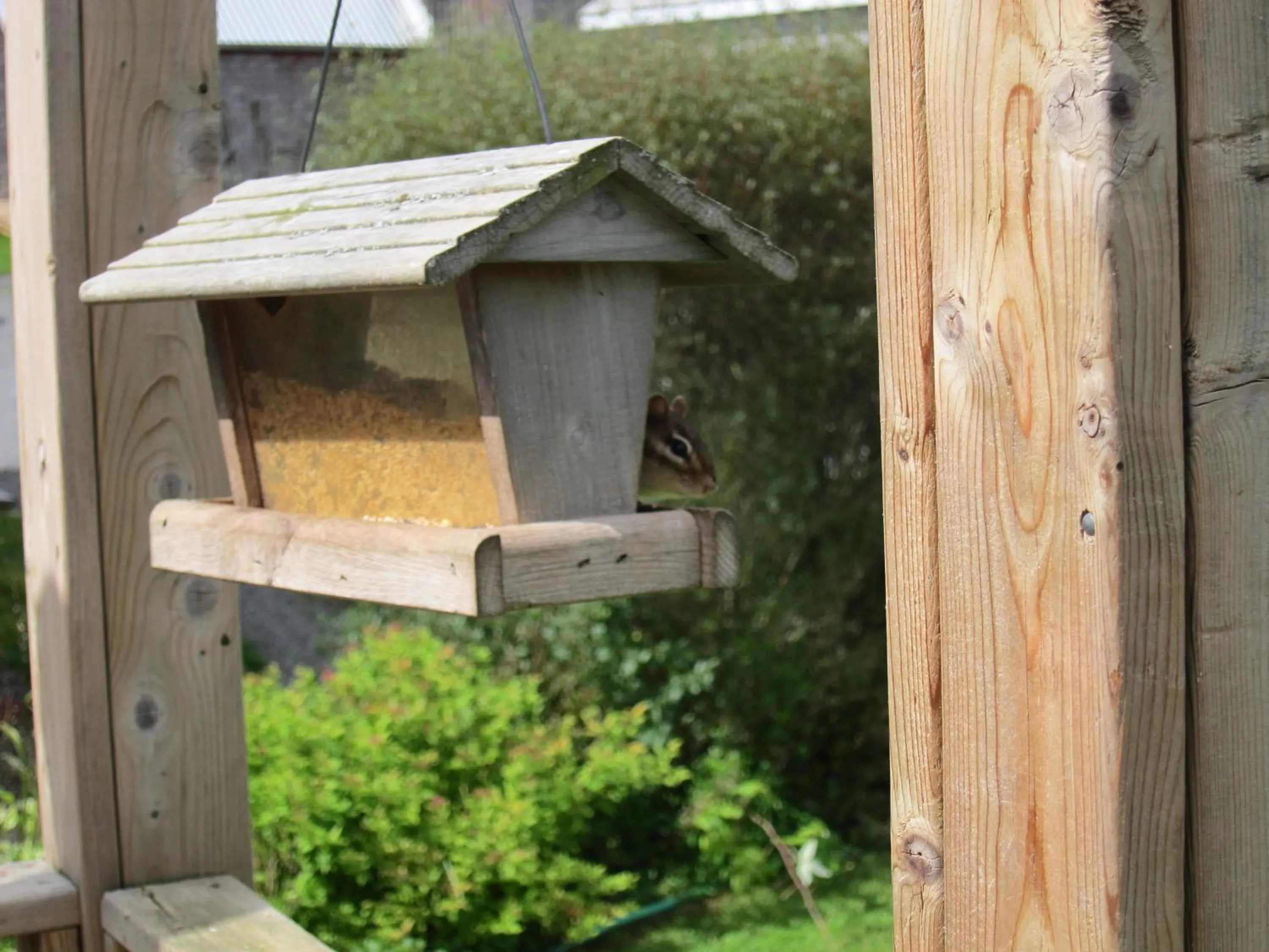 Day in Auld Farm Inn B&B