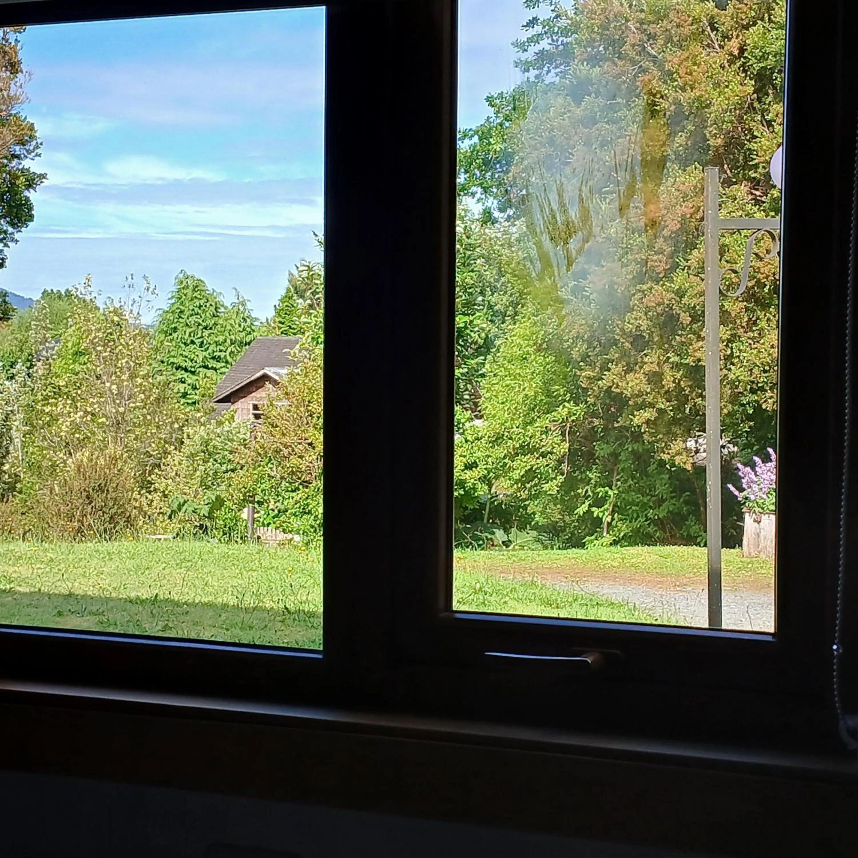 Garden view in Hotel Mi Casa