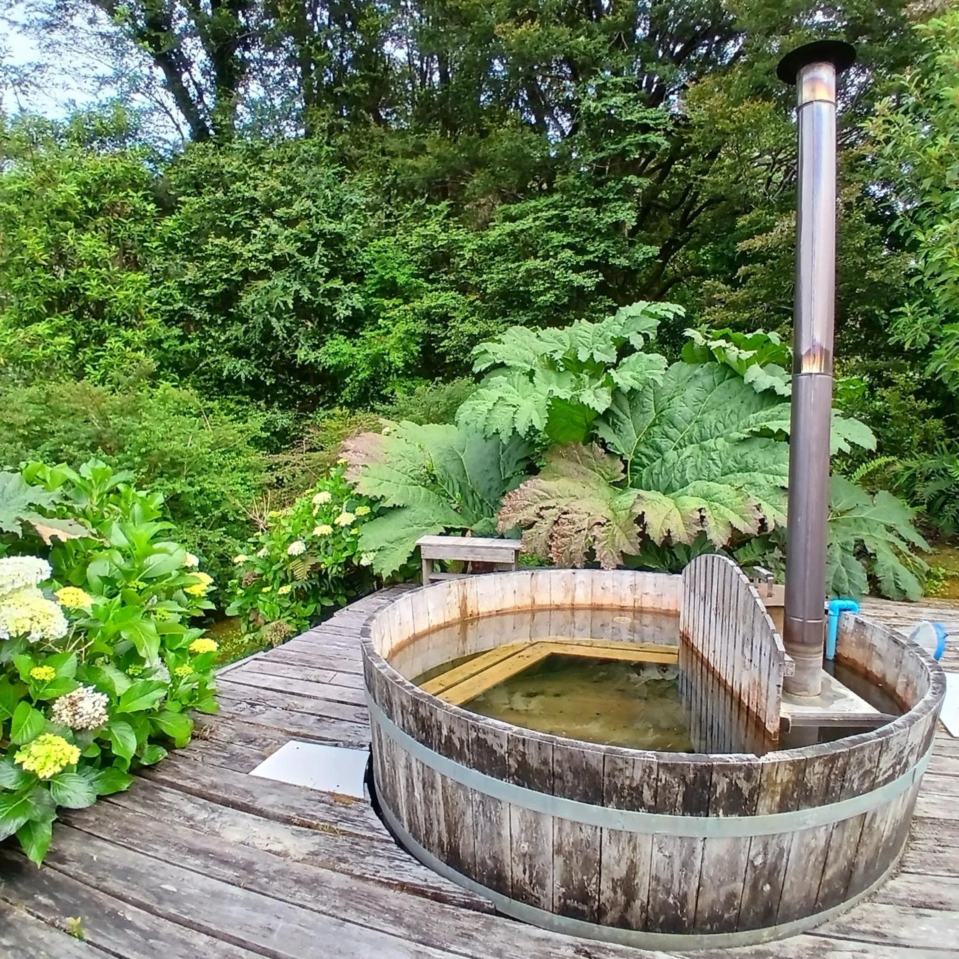 Garden in Hotel Mi Casa