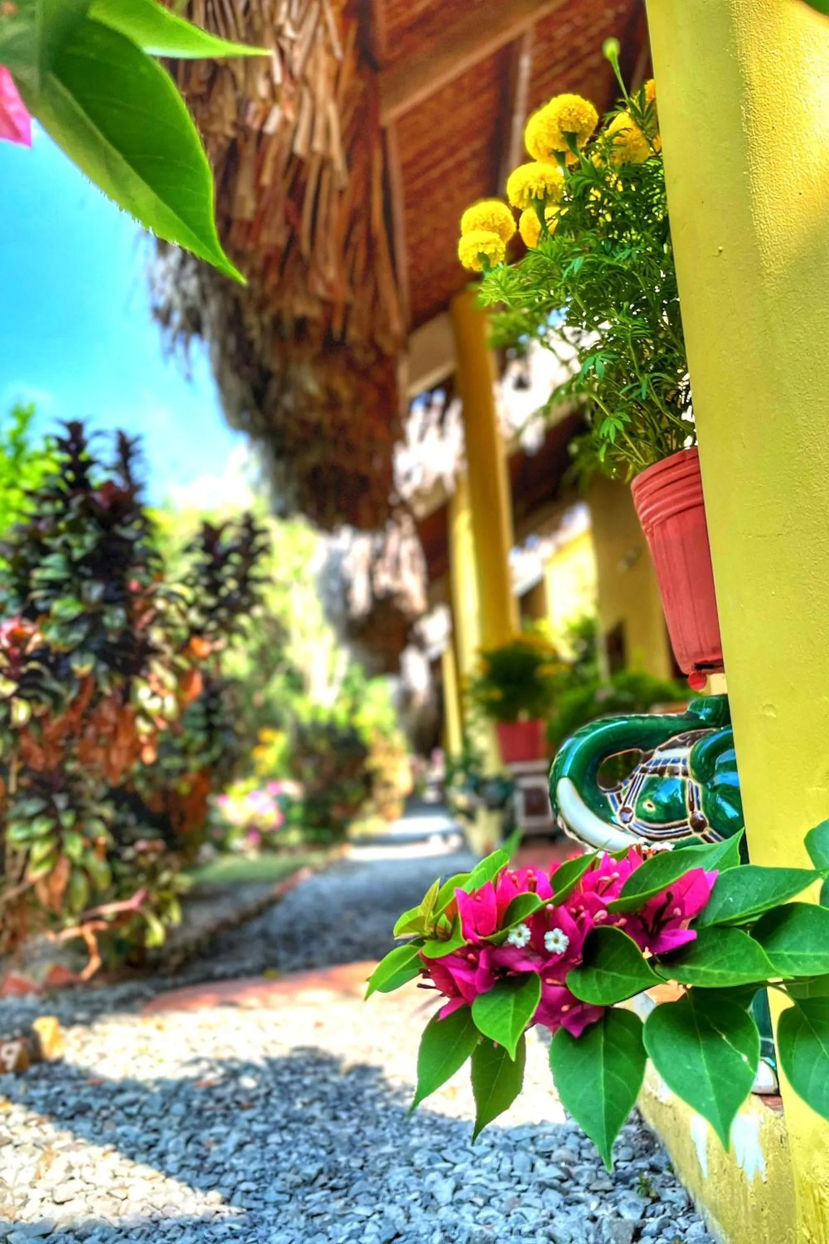 Garden in Mango Home Riverside Eco - Resort