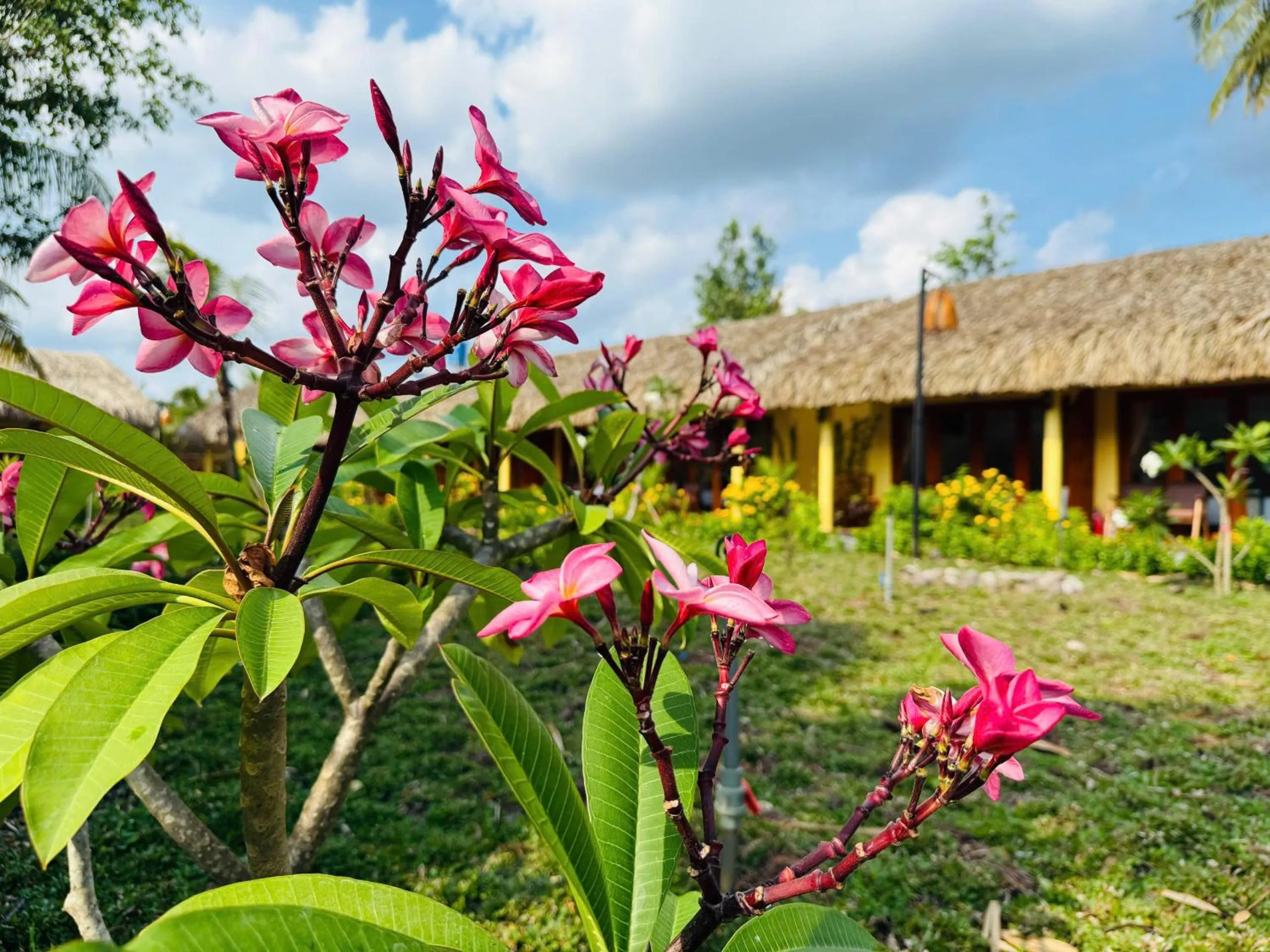Mango Home Riverside Eco - Resort