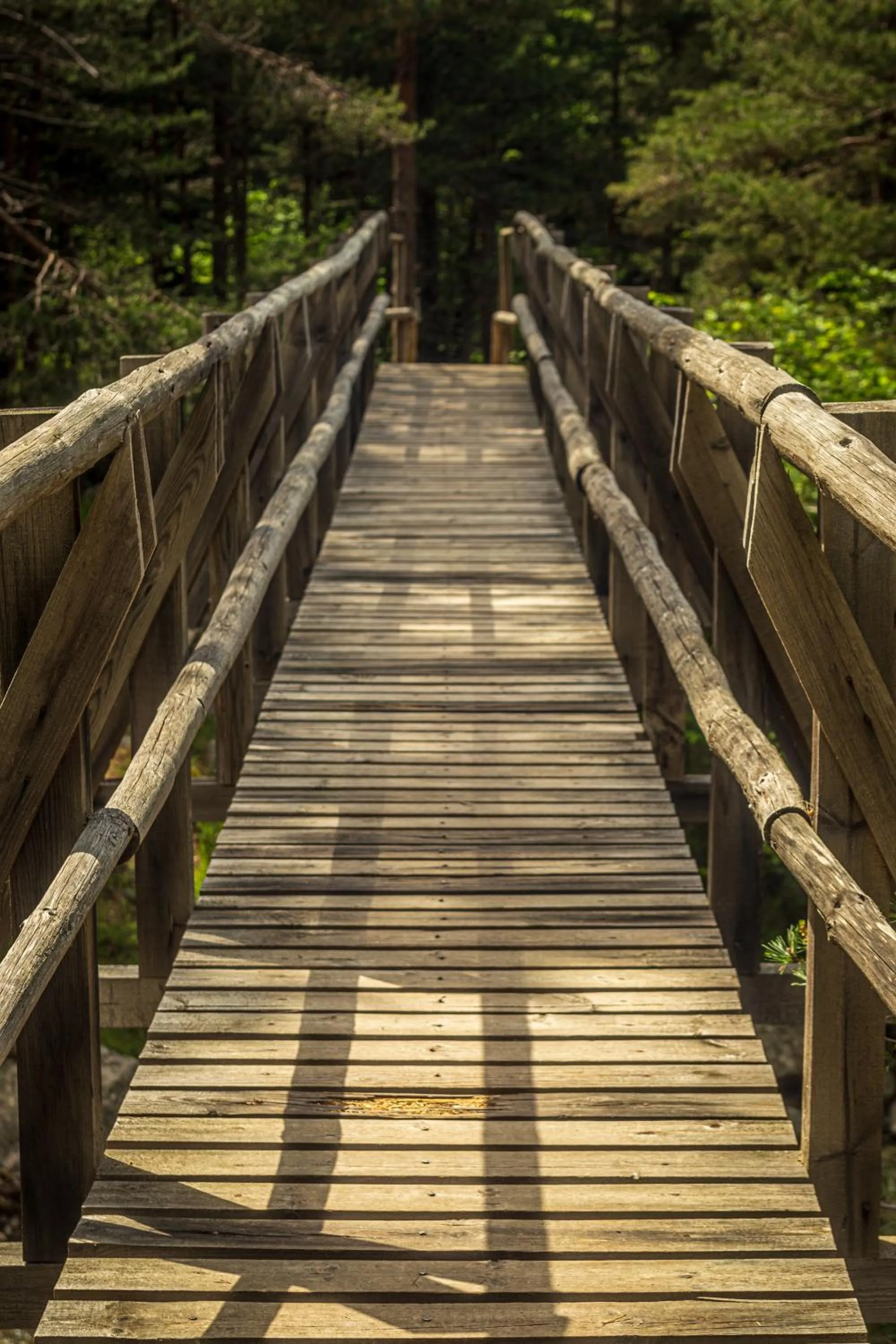 Natural landscape in Hotel COTA1110