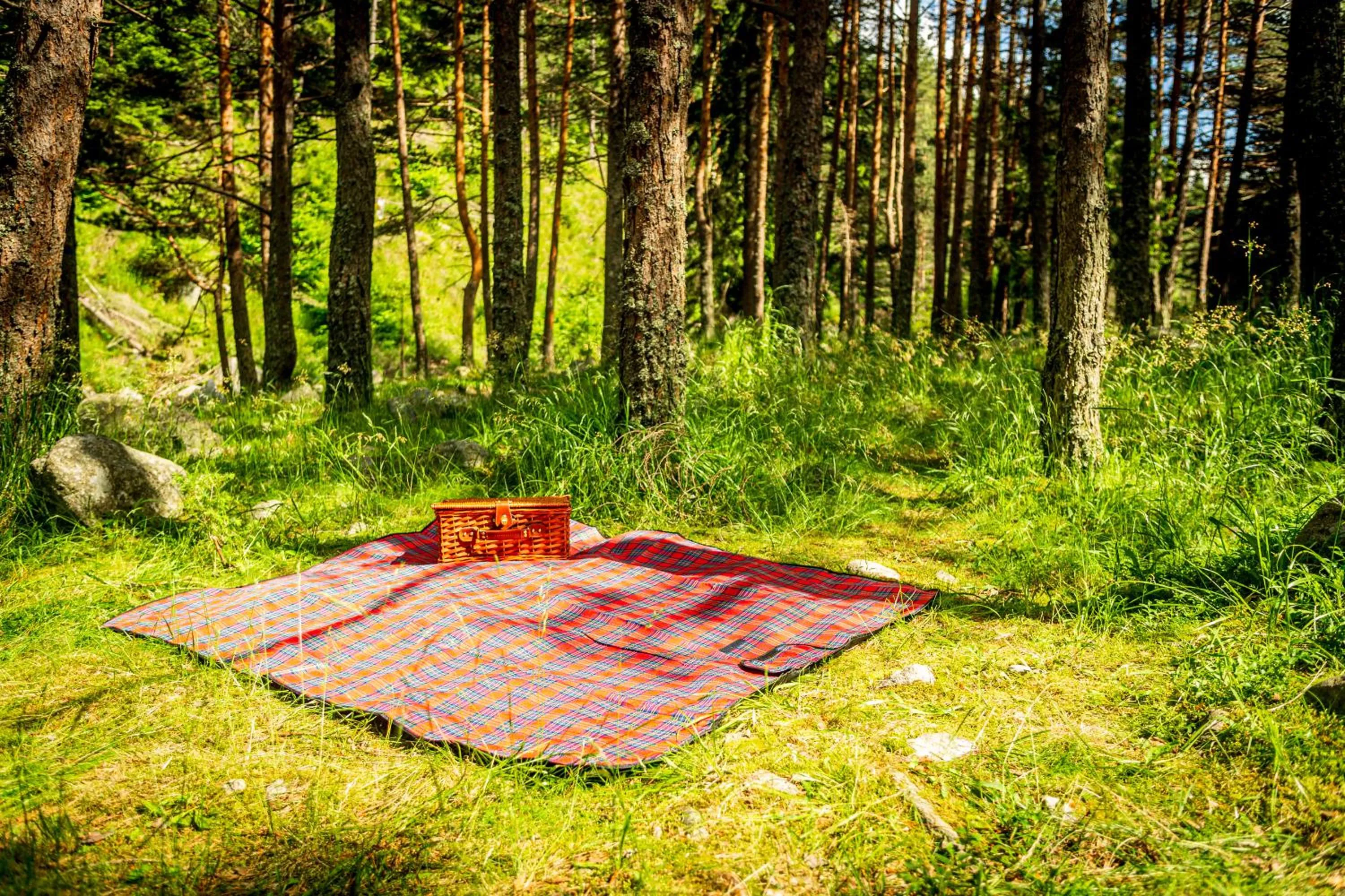 Natural landscape in Hotel COTA1110