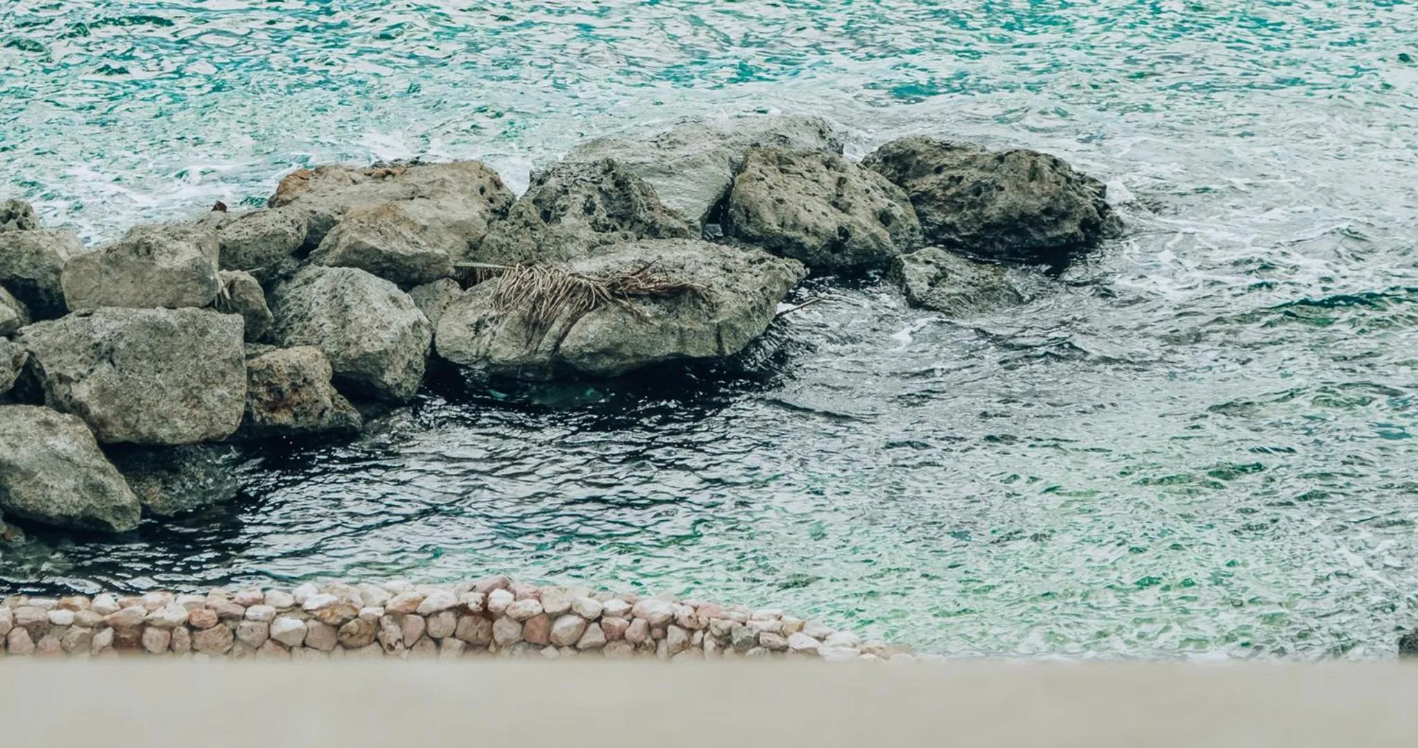 Beach in Terra Boutique Hotel Curaçao