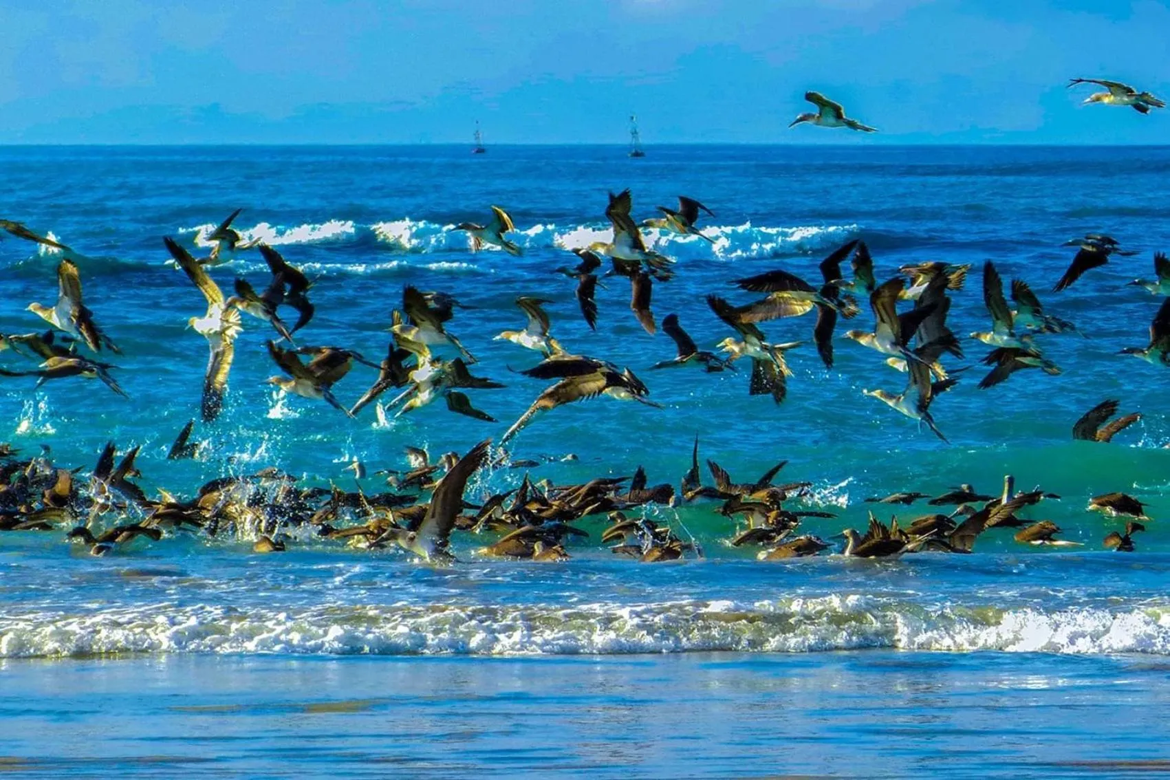 Natural landscape in Apartahotel Casa Soleil