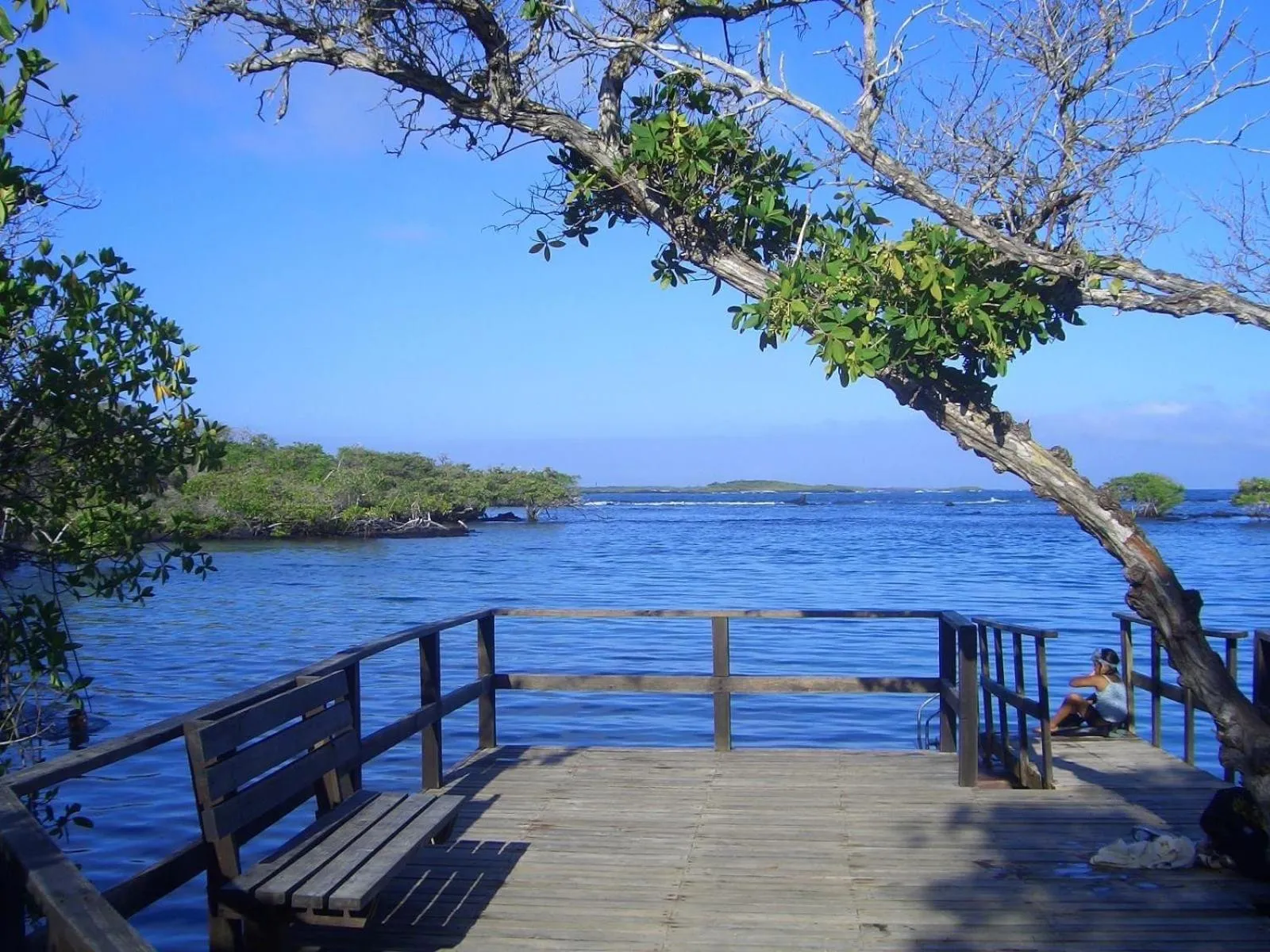 Natural landscape in Apartahotel Casa Soleil