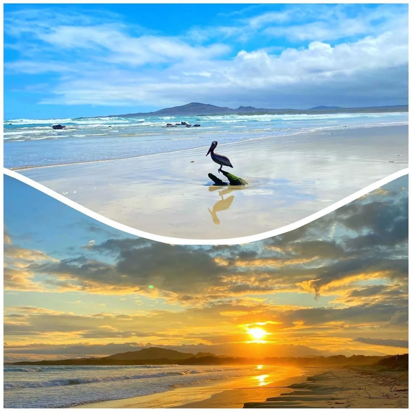 Beach in Apartahotel Casa Soleil