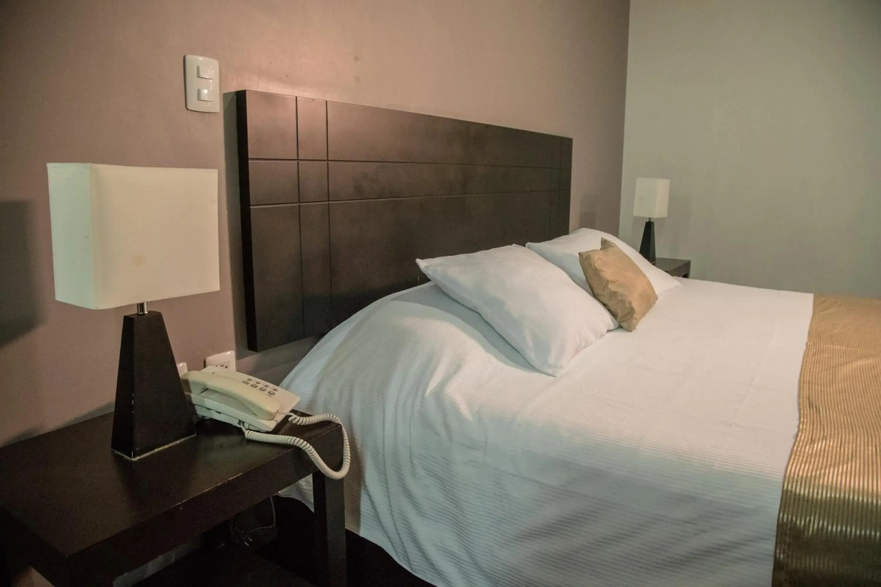 Standard King Room in TIERRA VIVA Standard King Room in TIERRA VIVA