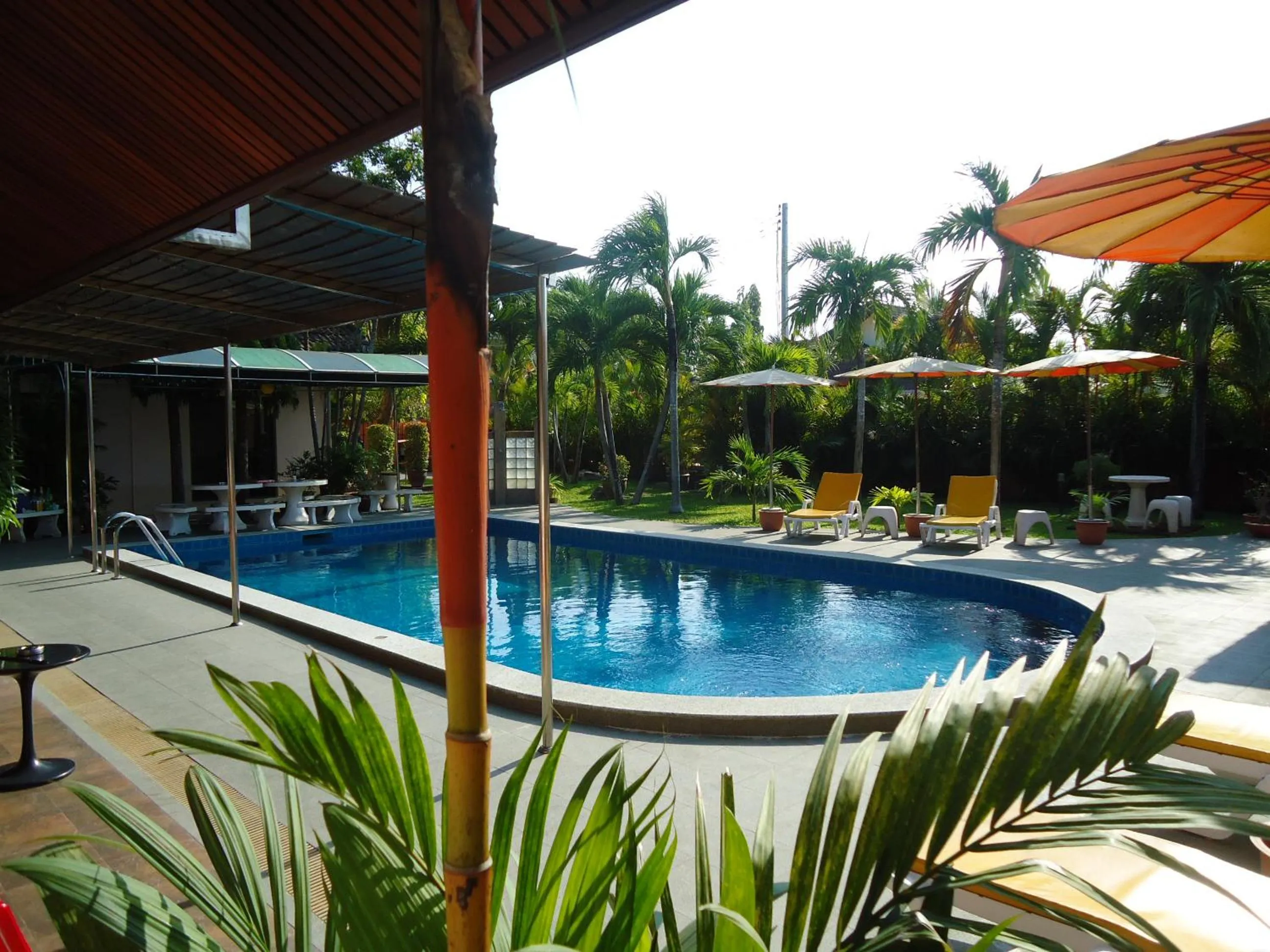  in Lonops Gay Paradise