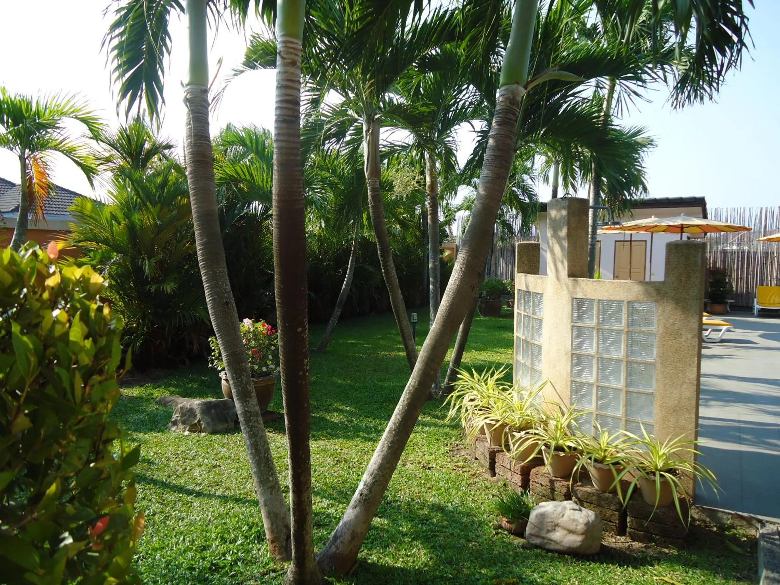 Garden in Lonops Gay Paradise