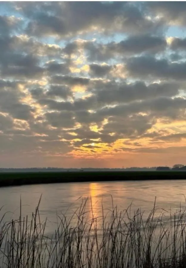 Area and facilities in B&B De Terpen