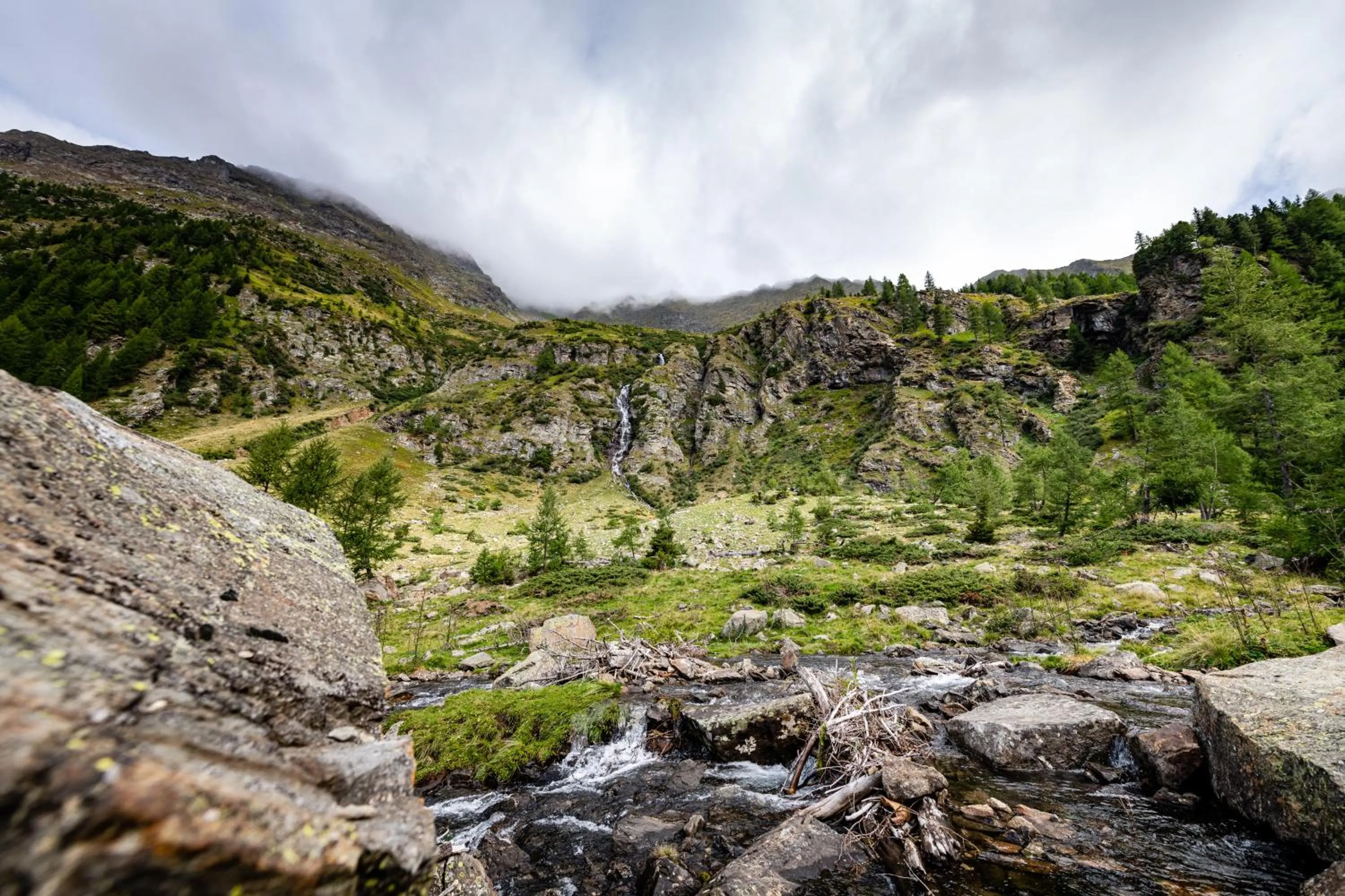 Natural landscape in Landhotel Postgut - Tradition seit 1549