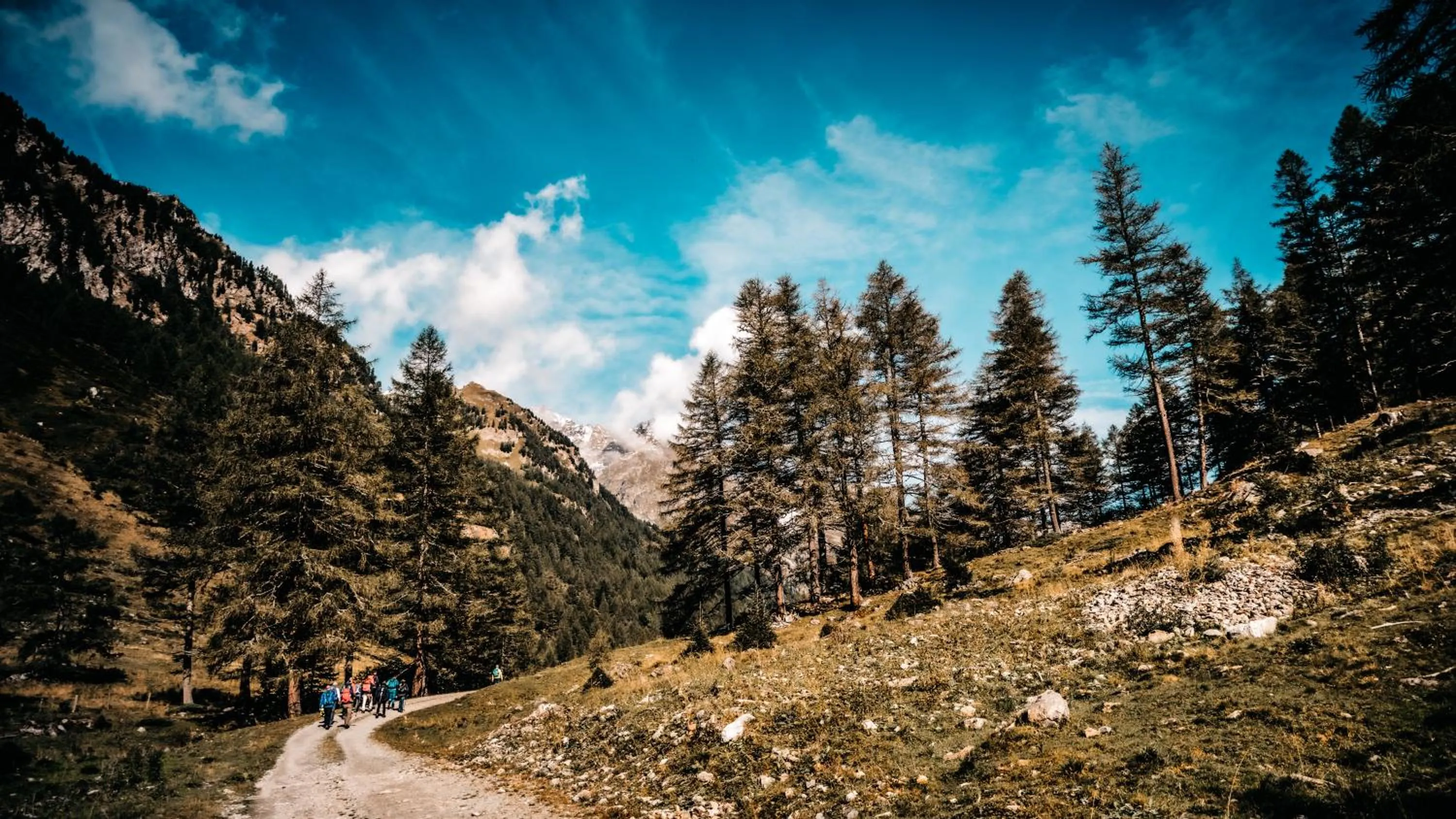 Natural landscape in Landhotel Postgut - Tradition seit 1549