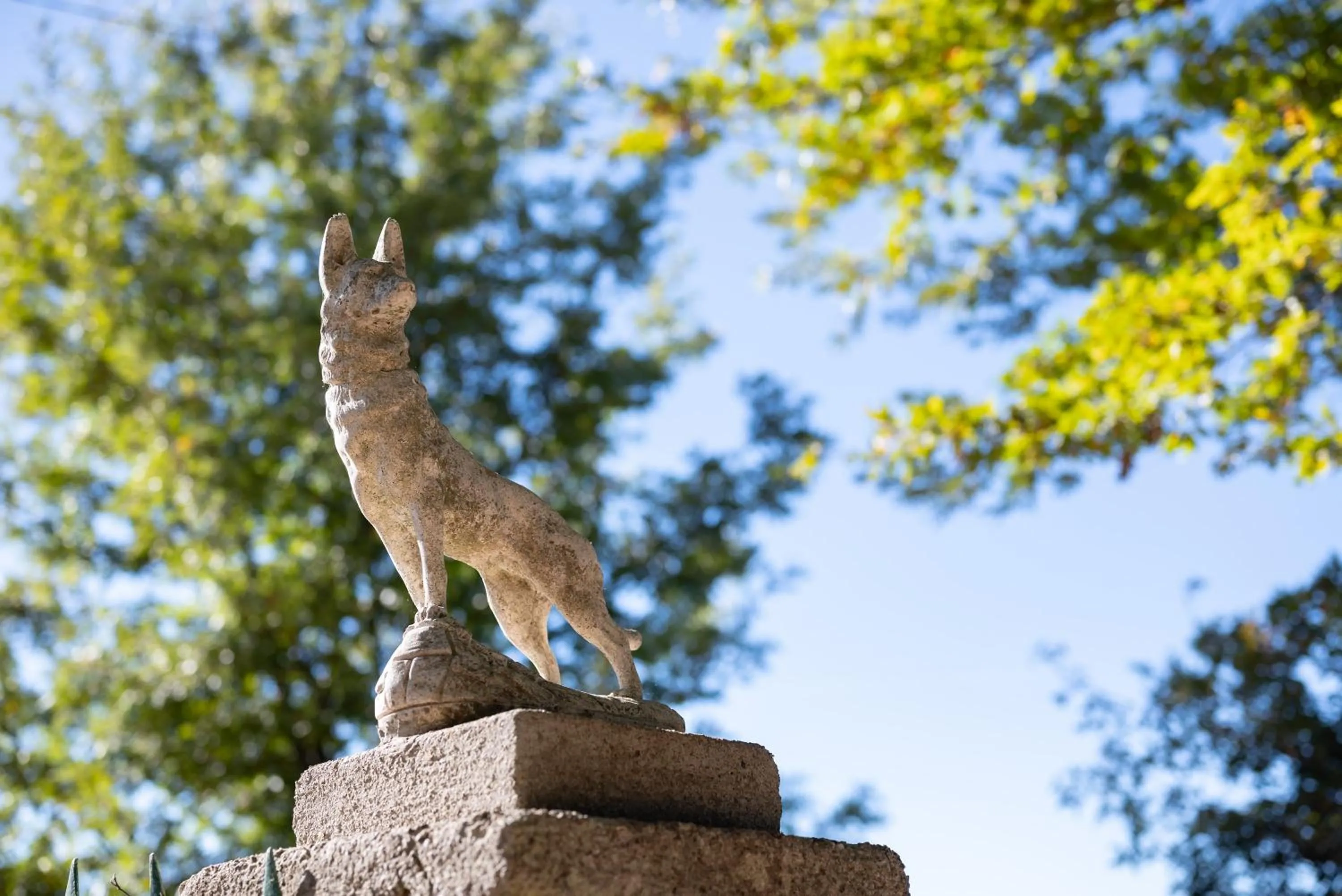 Decorative detail in Relais Il Ciliegio