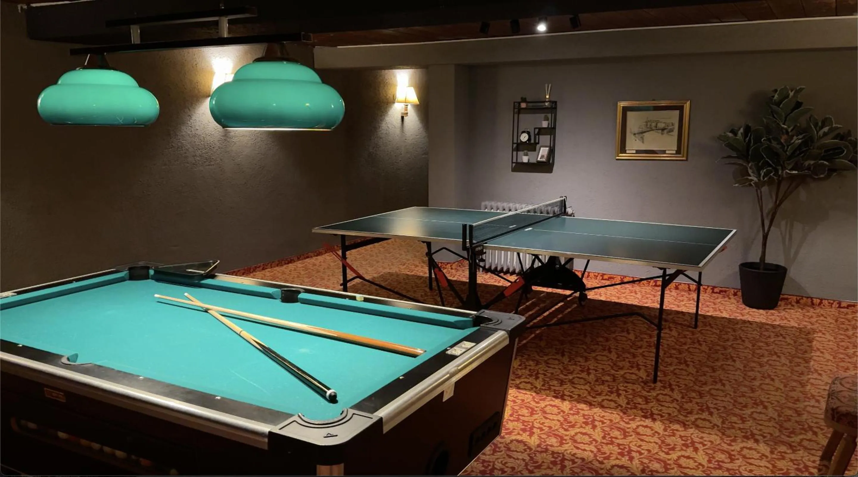 Game Room in Hotel Wilder Mann