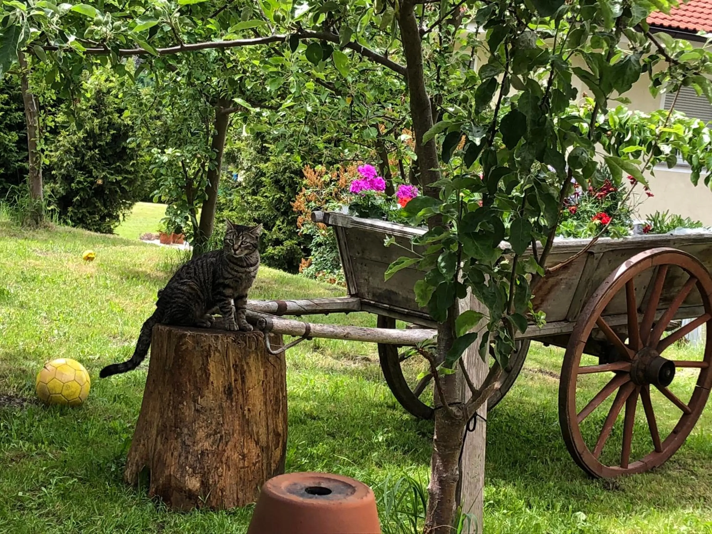 Nearby landmark in Hotel Wilder Mann